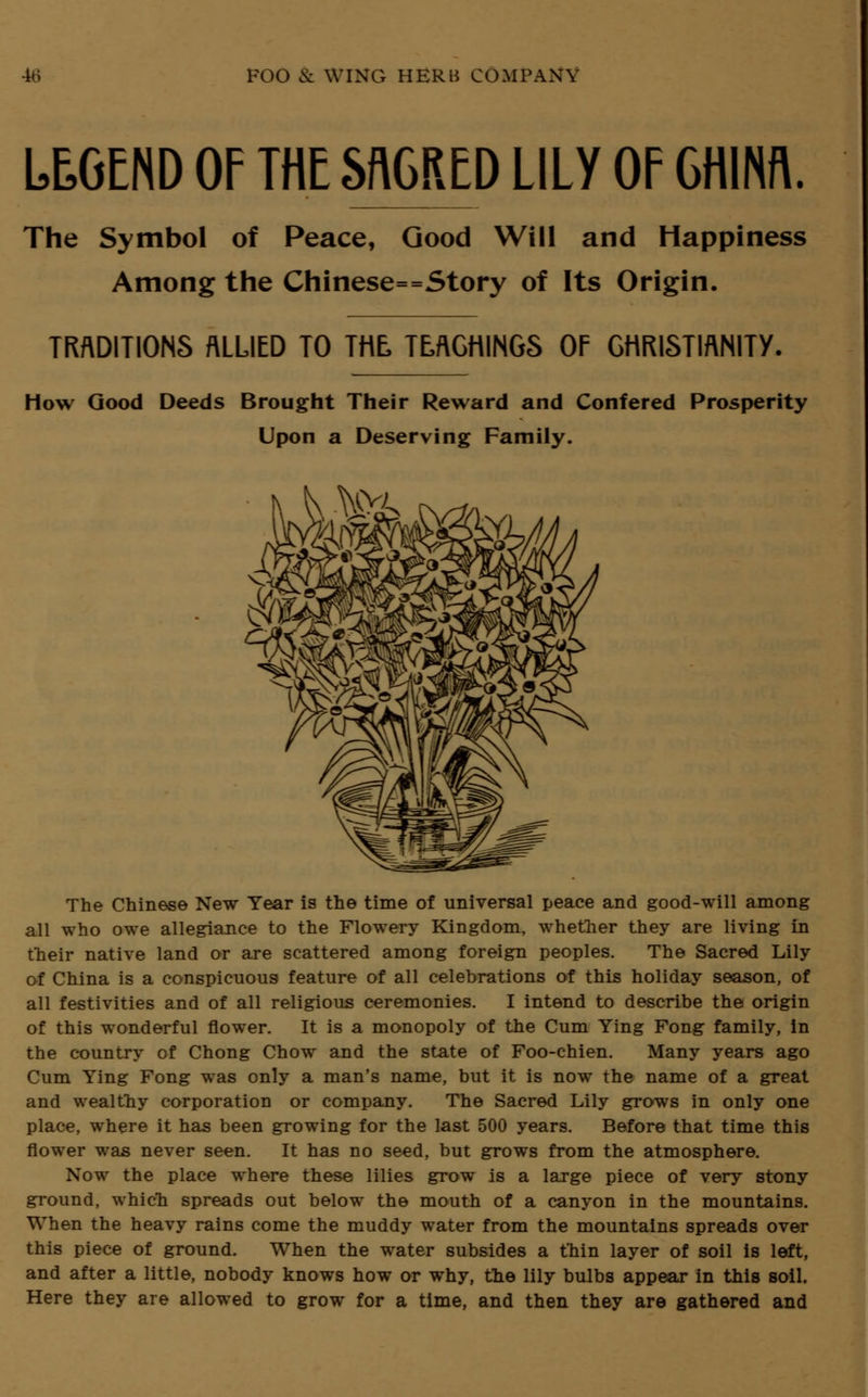LEGEND OF THE SflGRED LILY OF CHINA. The Symbol of Peace, Good Will and Happiness Among the Chinese==Story of Its Origin. TRADITIONS ALLIED TO THE, TEACHINGS OF CHRISTIANITY. How Good Deeds Brought Their Reward and Confered Prosperity Upon a Deserving Family. The Chinese New Year is the time of universal peace and good-will among all who owe allegiance to the Flowery Kingdom, whether they are living in their native land or are scattered among foreign peoples. The Sacred Lily of China is a conspicuous feature of all celebrations of this holiday season, of all festivities and of all religious ceremonies. I intend to describe the origin of this wonderful flower. It is a monopoly of the Cum Ying Fong family, in the country of Chong Chow and the state of Foo-chien. Many years ago Cum Ying Fong was only a man's name, but it is now the name of a great and wealthy corporation or company. The Sacred Lily grows in only one place, where it has been growing for the last 500 years. Before that time this flower was never seen. It has no seed, but grows from the atmosphere. Now the place where these lilies grow is a large piece of very stony ground, which spreads out below the mouth of a canyon in the mountains. When the heavy rains come the muddy water from the mountains spreads over this piece of ground. When the water subsides a thin layer of soil is left, and after a little, nobody knows how or why, the lily bulbs appear in this soil. Here they are allowed to grow for a time, and then they are gathered and