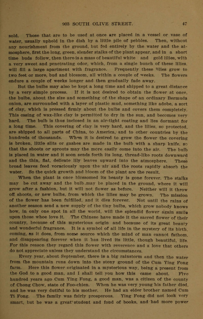 sold. Those that are to be used at once are placed in a vessel or vase of water, usually upheld in the dish by a little pile of pebbles. Then, without any nourishment from the ground, but fed entirely by the water and the at- mosphere, first the long, green, slender stalks of the plant appear, and in a short time buds follow, then there is a mass of beautiful white and gold lilies, with a very sweet and penetrating odor, which, from a single bunch of these lilies, will fill a large apartment with fragrance. Frequently these Mlies grow to two feet or more, bud and blossom, all within a couple of weeks. The flowers endure a couple of weeks longer and then gradually fade away. But the bulbs may also be kept a long time and shipped to a great distance by a very simple process. If it is not desired to obtain the flower at once, the bulbs, about the size and something of the shape of an ordinary Bermuda onion, are surrounded with a layer of plastic mud, something like adobe, a sort of clay, which is pressed firmly about the bulbs and covers them completely. This casing of wax-like clay is permitted to dry in the sun, and becomes very hard. The bulb is thus inclosed in an air-tight coating and lies dormant for a long time. This covering of clay is very hard, and the lilies, so protected, are shipped to all parts of China, to America, and to other countries by the hundreds of thousands. When it is desired to grow the flower the covering is broken, little slits or gashes are made in the bulb with a sharp knife, so that the shoots or sprouts may the more easily come into the air. The bulb is placed in water and it soon sends forth its long, thread-like roots downward and the thin, flat, delicate lily leaves upward into the atmosphere. These broad leaves feed voraciously upon the air and the roots rapidly absorb the water. So the quick growth and bloom of the plant are the result. When the plant is once blossomed its beauty is gone forever. The stalks may be cut away and the bulb .may be placed in the ground, where it will grow after a fashion, but it will not flower as before. Neither will it throw off shoots, or new bulbs, from which the lilies may be grown. The mission of the flower has been fulfilled, and it dies forever. Not until the rains of another season send a new supply of the tiny bulbs, which grow nobody knows how, in only one spot in all the world, will the splendid flower again smile upon those whoe love it. The Chinese have made it the sacred flower of their country, because of this mysterious origin and because of its great beauty and wonderful fragrance. It is a symbol of all life in the mystery of its birth, coming, as it does, from some source which the mind of man cannot fathom, and disappearing forever when it has lived its little, though beautiful, life. For this reason they regard this flower with reverence and a love that others do not appreciate unless they understand the circumstances. Every year, about September, there is a big rainstorm and then the water from the mountain runs down into the stony ground of the Cum Ying Fong farm. Here this flower originated in a mysterious way, being a present from the God to a good man, and I shall tell you how this came about. Five hundred years ago Cum Ying Fong, a good man, was a citizen of the county of Chong Chow, state of Foo-chien. When he was very young his father died, and he was very dutiful to his mother. He had an elder brother named Cum Ti Fong. The family was fairly prosperous. Ying Fong did not look very smart, but he was a great student and fond of books, and had more power