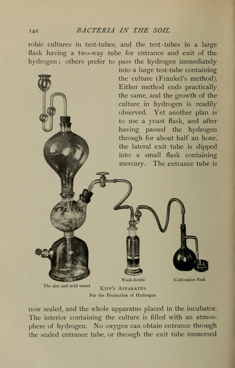 robic cultures in test-tubes, and the test-tubes in a large flask having a two-way tube for entrance and exit of the hydrogen ; others prefer to pass the hydrogen immediately into a large test-tube containing the culture (Frankel's method). Either method ends practically the same, and the growth of the culture in hydrogen is readily observed. Yet another plan is to use a yeast flask, and after having passed the hydrogen through for about half an hour, the lateral exit tube is dipped into a small flask containing mercury. The entrance tube is The zinc and acid vessel Wash-bottle Kipp's Apparatus For the Production of Hydrogen Cultivation flask now sealed, and the whole apparatus placed in the incubator. The interior containing the culture is filled with an atmos- phere of hydrogen. No oxygen can obtain entrance through the sealed entrance tube, or through the exit tube immersed