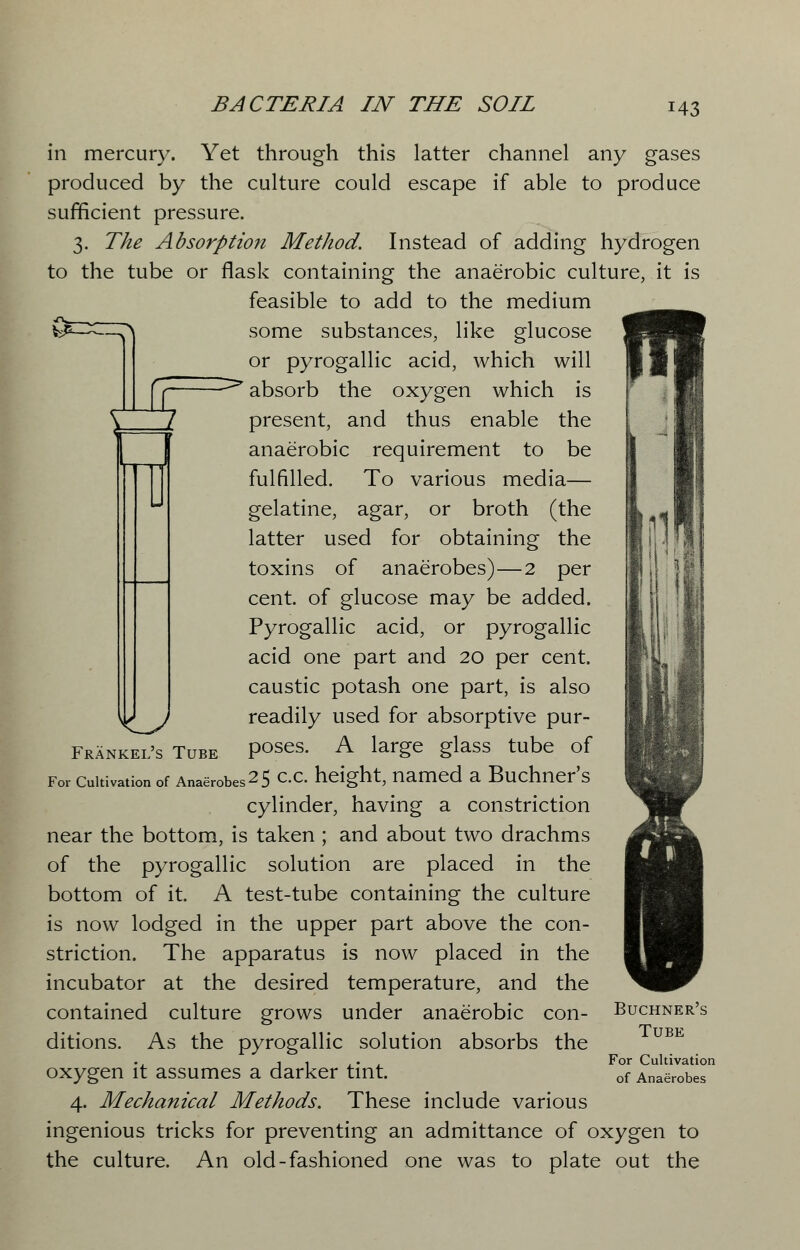 [L a it—PT it in mercury. Yet through this latter channel any gases produced by the culture could escape if able to produce sufficient pressure. 3. The Absorption Method. Instead of adding hydrogen to the tube or flask containing the anaerobic culture, it is feasible to add to the medium some substances, like glucose or pyrogallic acid, which will -^ absorb the oxygen which is present, and thus enable the anaerobic requirement to be fulfilled. To various media— gelatine, agar, or broth (the latter used for obtaining the toxins of anaerobes)—2 per cent, of glucose may be added. Pyrogallic acid, or pyrogallic acid one part and 20 per cent, caustic potash one part, is also VU* j readily used for absorptive pur- Frankel's Tube Poses- A large glass tube of For cultivation of Anaerobes 2 5 c.c. height, named a Buchner's cylinder, having a constriction near the bottom, is taken ; and about two drachms of the pyrogallic solution are placed in the bottom of it. A test-tube containing the culture is now lodged in the upper part above the con- striction. The apparatus is now placed in the incubator at the desired temperature, and the contained culture grows under anaerobic con- Buchner's ditions. As the pyrogallic solution absorbs the oxygen it assumes a darker tint. 4. Mechanical Methods. These include various ingenious tricks for preventing an admittance of oxygen to the culture. An old-fashioned one was to plate out the Tube For Cultivation of Anaerobes