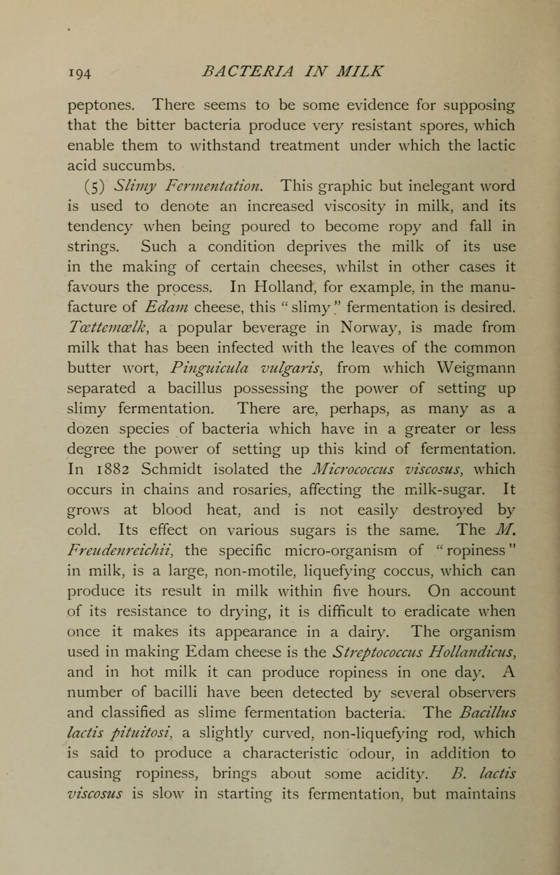 peptones. There seems to be some evidence for supposing that the bitter bacteria produce very resistant spores, which enable them to withstand treatment under which the lactic acid succumbs. (5) Slimy Fermentation. This graphic but inelegant word is used to denote an increased viscosity in milk, and its tendency when being poured to become ropy and fall in strings. Such a condition deprives the milk of its use in the making of certain cheeses, whilst in other cases it favours the process. In Holland, for example, in the manu- facture of Edam cheese, this  slimy  fermentation is desired. Tcettemcelk, a popular beverage in Norway, is made from milk that has been infected with the leaves of the common butter wort, Pinguicula vulgaris, from which Weigmann separated a bacillus possessing the power of setting up slimy fermentation. There are, perhaps, as many as a dozen species of bacteria which have in a greater or less degree the power of setting up this kind of fermentation. In 1882 Schmidt isolated the Micrococcus viscosus, which occurs in chains and rosaries, affecting the milk-sugar. It grows at blood heat, and is not easily destroyed by cold. Its effect on various sugars is the same. The M. Freudenreichii, the specific micro-organism of  ropiness in milk, is a large, non-motile, liquefying coccus, which can produce its result in milk within five hours. On account of its resistance to drying, it is difficult to eradicate when once it makes its appearance in a dairy. The organism used in making Edam cheese is the Streptococcus Hollandicus, and in hot milk it can produce ropiness in one day. A number of bacilli have been detected by several observers and classified as slime fermentation bacteria. The Bacillus lactis pituitosi, a slightly curved, non-liquefying rod, which is said to produce a characteristic odour, in addition to causing ropiness, brings about some acidity. B. lactis viscosus is slow in starting its fermentation, but maintains