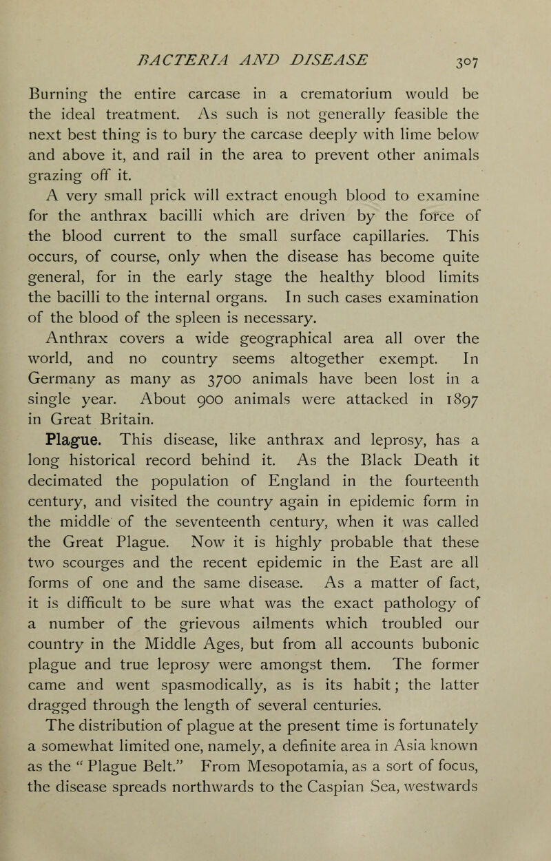 Burning the entire carcase in a crematorium would be the ideal treatment. As such is not generally feasible the next best thing is to bury the carcase deeply with lime below and above it, and rail in the area to prevent other animals grazing off it. A very small prick will extract enough blood to examine for the anthrax bacilli which are driven by the force of the blood current to the small surface capillaries. This occurs, of course, only when the disease has become quite general, for in the early stage the healthy blood limits the bacilli to the internal organs. In such cases examination of the blood of the spleen is necessary. Anthrax covers a wide geographical area all over the world, and no country seems altogether exempt. In Germany as many as 3700 animals have been lost in a single year. About 900 animals were attacked in 1897 in Great Britain. Plague. This disease, like anthrax and leprosy, has a long historical record behind it. As the Black Death it decimated the population of England in the fourteenth century, and visited the country again in epidemic form in the middle of the seventeenth century, when it was called the Great Plague. Now it is highly probable that these two scourges and the recent epidemic in the East are all forms of one and the same disease. As a matter of fact, it is difficult to be sure what was the exact pathology of a number of the grievous ailments which troubled our country in the Middle Ages, but from all accounts bubonic plague and true leprosy were amongst them. The former came and went spasmodically, as is its habit; the latter dragged through the length of several centuries. The distribution of plague at the present time is fortunately a somewhat limited one, namely, a definite area in Asia known as the  Plague Belt. From Mesopotamia, as a sort of focus, the disease spreads northwards to the Caspian Sea, westwards