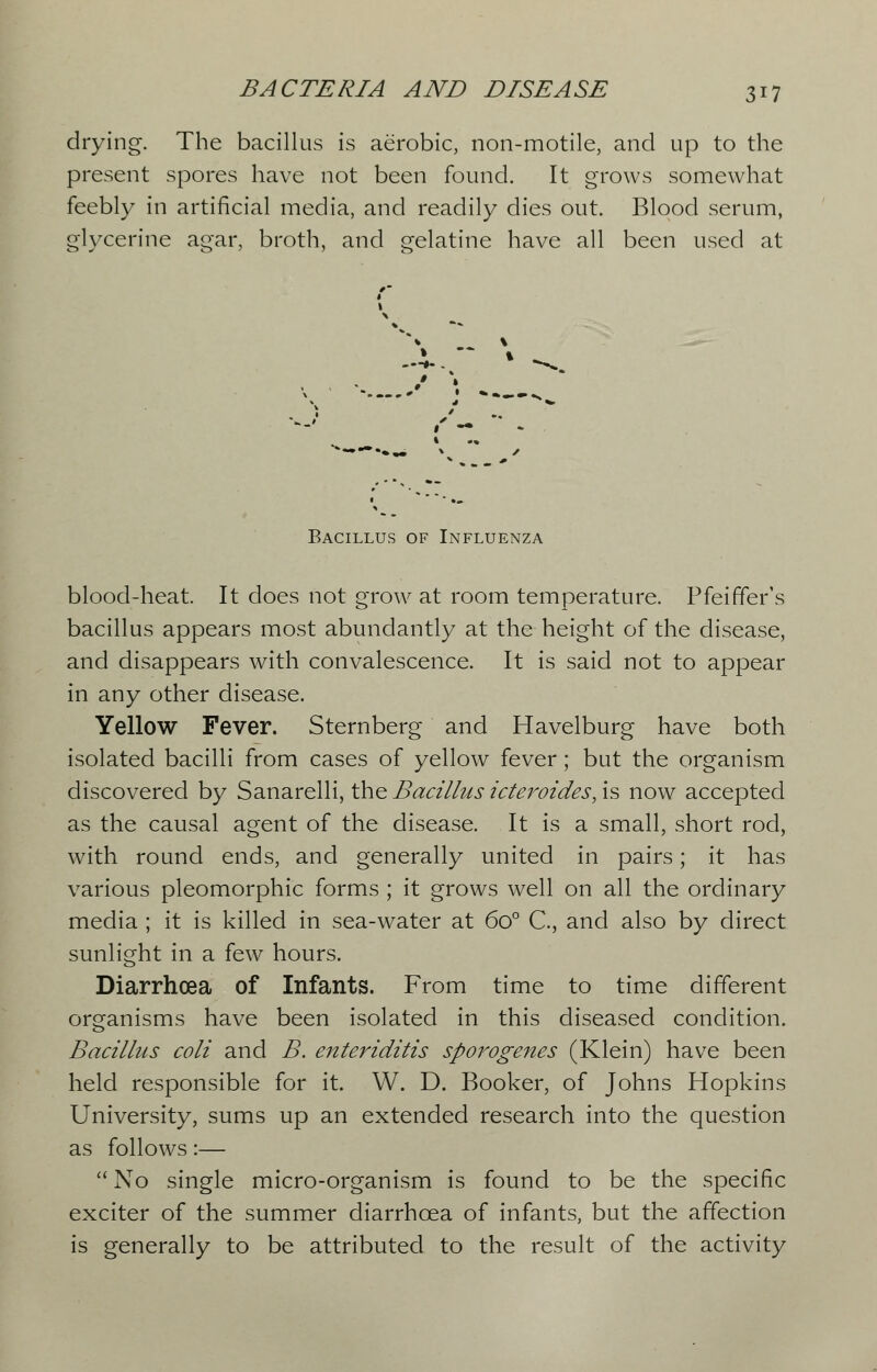 drying. The bacillus is aerobic, non-motile, and up to the present spores have not been found. It grows somewhat feebly in artificial media, and readily dies out. Blood serum, glycerine agar, broth, and gelatine have all been used at V \ *■»..«.•* Bacillus of Influenza blood-heat. It does not grow at room temperature. Pfeiffer's bacillus appears most abundantly at the height of the disease, and disappears with convalescence. It is said not to appear in any other disease. Yellow Fever. Sternberg and Havelburg have both isolated bacilli from cases of yellow fever; but the organism discovered by Sanarelli, the Bacillus icteroides, is now accepted as the causal agent of the disease. It is a small, short rod, with round ends, and generally united in pairs; it has various pleomorphic forms ; it grows well on all the ordinary media ; it is killed in sea-water at 6o° C, and also by direct sunlight in a few hours. Diarrhoea of Infants. From time to time different organisms have been isolated in this diseased condition. Bacillus coli and B. enteriditis sporogenes (Klein) have been held responsible for it. W. D. Booker, of Johns Hopkins University, sums up an extended research into the question as follows:—  No single micro-organism is found to be the specific exciter of the summer diarrhoea of infants, but the affection is generally to be attributed to the result of the activity