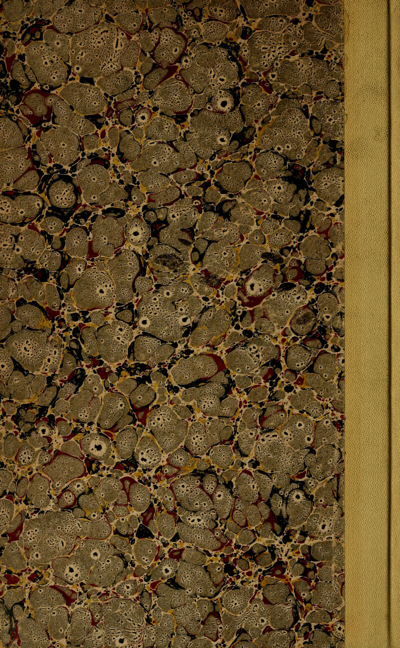 ^^Pf,*^_;,^ ;.,<-'^ -f ■ ^ C. fv''*';- v-^^^^^^v^?!H?i'*'^^?^-'<^ii£*i^ • ^k'''i>* *^iÄa«^ '^ 'Ä^ >;'*.. Jr/v