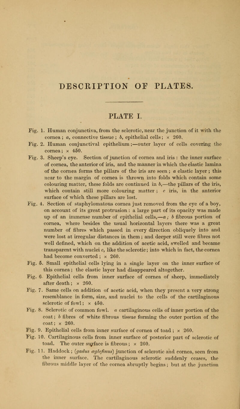 DESCRIPTION OP PLATES. PLATE I. Fig. 1. Human conjunctiva, from the sclerotic, near the junction of it with the cornea ; a, connective tissue ; b, epithelial cells; x 260. Fig. 2. Human conjunctival epithelium;—outer layer of cells covering the cornea; x 450. Fig. 3. Sheep's eye. Section of junction of cornea and iris : the inner surface of cornea, the anterior of iris, and the manner in which the elastic lamina of the cornea forms the pillars of the iris are seen ; a elastic layer ; this near to the margin of cornea is thrown into folds which contain some colouring matter, these folds are continued in b,—the pillars of the iris, which contain still more colouring matter ; c iris, in the anterior surface of which these pillars are lost. Fig, 4. Section of staphylomatous cornea just removed from the eye of a boy, on account of its great protrusion : a large part of its opacity was made up of an immense number of epithelial cells,—a; b fibrous portion of cornea, where besides the usual horizontal layers there was a great number of fibres which passed in every direction obliquely into and were lost at irregular distances in them; and deeper still were fibres not well defined, which on the addition of acetic acid, swelled and became transparent with nuclei c, like the sclerotic; into which in fact, the cornea had become converted ; x 260. Fig. 5. Small epithelial cells lying in a single layer on the inner surface of this cornea; the elastic layer had disappeared altogether. Fig. 6- Epithelial cells from inner surface of cornea of sheep, immediately after death; x 260. Fig. 7. Same cells on addition of acetic acid, when they present a very strong- resemblance in form, size, and nuclei to the cells of the cartilaginous sclerotic of fowl; x 450. Fig. 8. Sclerotic of common fowl, a cartilaginous cells of inner portion of the coat; b fibres of white fibrous tissue forming the outer portion of the coat; x 260. Fig. 9. Epithelial cells from inner surface of cornea of toad ; x 260. Fig. 10. Cartilaginous cells from inner surface of posterior part of sclerotic of toad. The outer surface is fibrous ; x 260. Fig. 11. Haddock ; (gadus aglefinus) junction of sclerotic and cornea, seen from the inner surface. The cartilaginous sclerotic suddenly ceases, the fibrous middle layer of the cornea abruptly begins; but at the junction