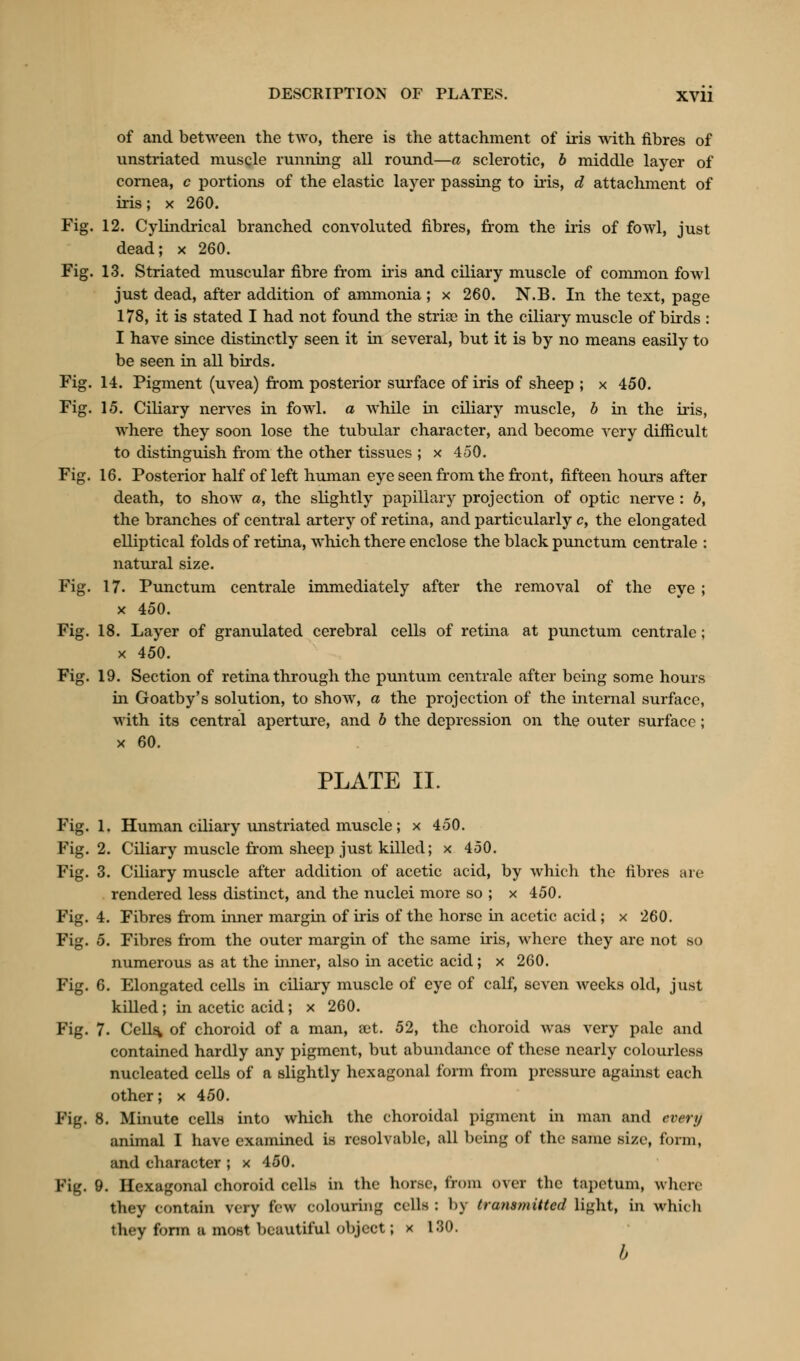 of and between the two, there is the attachment of iris with fibres of unstriated muscle running all round—a sclerotic, b middle layer of cornea, c portions of the elastic layer passing to iris, d attachment of iris; x 260. Fig. 12. Cylindrical branched convoluted fibres, from the iris of fowl, just dead; x 260. Fig. 13. Striated muscular fibre from iris and ciliary muscle of common fowl just dead, after addition of ammonia ; x 260. N.B. In the text, page 178, it is stated I had not found the striae in the ciliary muscle of birds : I have since distinctly seen it in several, but it is by no means easily to be seen in all birds. Fig. 14. Pigment (uvea) from posterior surface of iris of sheep ; x 450. Fig. 15. Ciliary nerves in fowl, a while in ciliary muscle, b in the iris, where they soon lose the tubular character, and become very difficult to distinguish from the other tissues ; x 450. Fig. 16. Posterior half of left human eye seen from the front, fifteen hours after death, to show a, the slightly papillary projection of optic nerve : b, the branches of central artery of retina, and particularly c, the elongated elliptical folds of retina, which there enclose the black punctum centrale : natural size. Fig. 17. Punctum centrale immediately after the removal of the eye ; x 450. Fig. 18. Layer of granulated cerebral cells of retina at punctum centrale; x 450. Fig. 19. Section of retina through the puntum centrale after being some hours in Goatby's solution, to show, a the projection of the internal surface, with its central aperture, and b the depression on the outer surface; x 60. PLATE II. Fig. 1. Human ciliary unstriated muscle; x 450. Fig. 2. Ciliary muscle from sheep just killed; x 450. Fig. 3. Ciliary muscle after addition of acetic acid, by which the fibres are rendered less distinct, and the nuclei more so ; x 450. Fig. 4. Fibres from inner margin of iris of the horse in acetic acid; x 260. Fig. 5. Fibres from the outer margin of the same iris, where they are not so numerous as at the inner, also in acetic acid; x 260. Fig. 6. Elongated cells in ciliary muscle of eye of calf, seven weeks old, just killed; in acetic acid; x 260. Fig. 7. Cells, of choroid of a man, set. 52, the choroid was very pale and contained hardly any pigment, but abundance of these nearly colourless nucleated cells of a slightly hexagonal form from pressure against each other; x 450. Fig. 8. Minute cells into which the choroidal pigment in man and every animal I have examined is resolvable, all being of the same size, form, and character ; x 450. Fig. 9. Hexagonal choroid cells in the horse, from over the tapetum, when they contain very few colouring cells : by transmitted light, in which they form a most beautiful object; x 130. b
