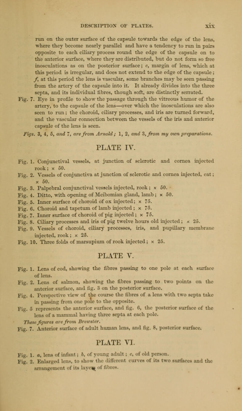run on the outer surface of the capsule towards the edge of the lens, where they become nearly parallel and have a tendency to run in pairs opposite to each ciliary process round the edge of the capsule on to the anterior surface, where they are distributed, but do not form so free inosculations as on the posterior surface; c, margin of lens, which at this period is irregular, and does not extend to the edge of the capsule: /, at this period the lens is vascular, some branches may be seen passing from the artery of the capsule into it. It already divides into the three septa, and its individual hbres, though soft, are distinctly serrated. Fig. 7. Eye in profile to show the passage through the vitreous humor of the artery, to the capsule of the lens—over which the inosculations are also seen to run; the choroid, ciliary processes, and iris are turned forward, and the vascular connection between the vessels of the iris and anterior capsule of the lens is seen. Figs. 3, 4, 5, and 7, are from Arnold; 1, 2, and 3, from my own preparations. PLATE IT. Fin. 1. Conjunctival vessels, at junction of sclerotic and cornea injected rook; x 50. Vessels of conjunctiva at junction of sclerotic and cornea injected, oat; x 50. Fig. 3. Palpebral conjunctival vessels injected, rook; x 50. Fi?. 4. Ditto, with opening of Meibomian gland, lamb ; x 50. Fig. 5. Inner surface of choroid of ox injected; x 75. Fig. 6. Choroid and tapetum of lamb injected ; x 75. Fig. 7. Inner surface of choroid of pig injected: x 75. FUz. 8. Ciliary processes and iris of pig twelve hours old injected ; * 25. Fis. 9. Vessels of choroid, ciliary processes, iris, and pupillary membrane injected, rook ; x 25. Fiii. 10. Three folds of marsupium of rook injected; x 25. PLATE V. Fiff. 1. Lens of cod, showing the fibres passing to one pole at each surface of lens. of salmon, showing the fibres passing to two points on the anterior surface, and fig. 3 on the posterior surface. Pig, i. | e view of the course the fibres of a lens with two septa take in passing from one pole to the opposite. the anterior surface, and fig. 6, the posterior surface oi the lens of ■ mammal having three septa at each pole. These figures are from Brewster. ~. Anterior surface of adult human lens, and fig. 8, posterior sun PLATE VI. Pig. l. a, lens of infant; ;\ of young adult ; c, of old | Enlarged lens, to -how the different curves oi its two surfaces and the arrangement of its layeaj of fibn -