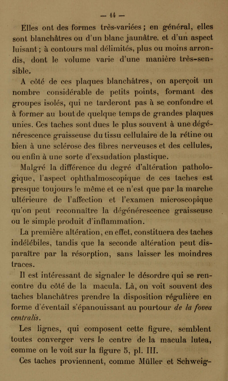 Elles ont des formes très-variées ; en général, elles sont blanchâtres ou d'un blanc jaunâtre, et d'un aspect luisant ; à contours mal délimités, plus ou moins arron- dis, dont le volume varie d'une manière très-sen- sible, A côté de ces plaques blanchâtres, on aperçoit un nombre considérable de petits points, formant des groupes isolés, qui ne tarderont pas à se confondre et à former au bout de quelque temps de grandes plaques unies. Ces taches sont dues le plus souvent à une dégé- nérescence graisseuse du tissu cellulaire de la rétine ou bien à une sclérose des fibres nerveuses et des cellules, ou enfin à une sorte d'exsudation plastique. Malgré la différence du degré d'altération patholo- gique, l'aspect ophthalmoscopique de ces taches est presque toujours le même et ce n'est que par la marche ultérieure de l'affection et l'examen microscopique qu'on peut reconnaître la dégénérescence graisseuse ou le simple produit d'inflammation. La première altération, en effet, constituera des taches indélébiles, tandis que la seconde altération peut dis- paraître par la résorption, sans laisser les moindres traces. Il est intéressant de signaler le désordre qui se ren- contre du côté de la macula. Là, on voit souvent des taches blanchâtres prendre la disposition régulière en forme d'éventail s'épanouissant au pourtour de la fovea centrales. Les lignes, qui composent cette figure, semblent toutes converger vers le centre de la macula lutea, comme on le voit sur la figure 5, pi. III. Ces taches proviennent, comme Mùller et Schweig-