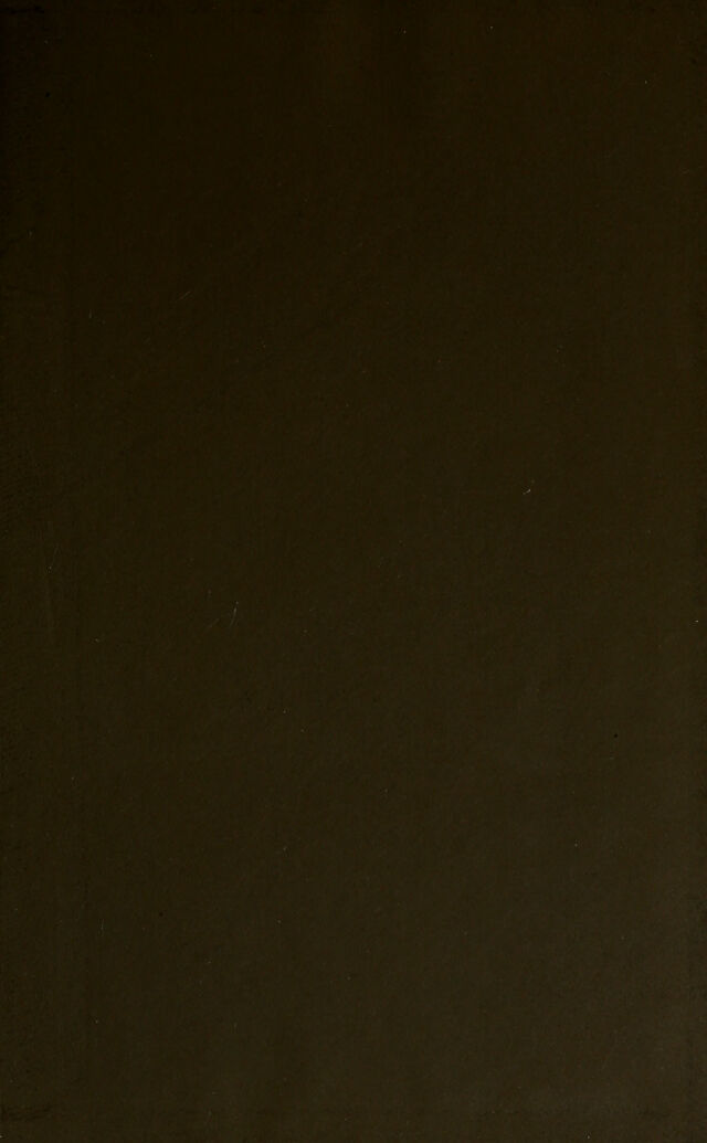 digitised image 3