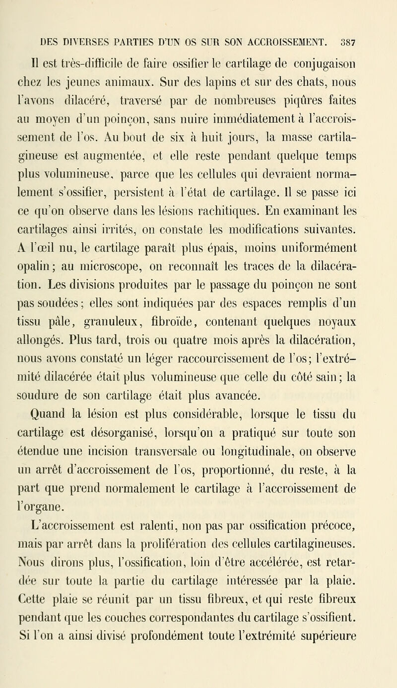 Il est très-difficile de faire ossifier le cartilage de conjugaison chez les jeunes animaux. Sur des lapins et sur des chats, nous l'avons dilacéré, traversé par de nombreuses piqûres faites au moyen d'un poinçon, sans nuire immédiatement à l'accrois- sement de l'os. Au bout de six à huit jours, la masse cartila- gineuse est augmentée, et elle reste pendant quelque temps plus volumineuse, parce que les cellules qui devraient norma- lement s'ossifier, persistent à l'état de cartilage. 11 se passe ici ce qu'on observe dans les lésions rachitiques. En examinant les cartilages ainsi irrités, on constate les modifications suivantes. A l'œil nu, le cartilage paraît plus épais, moins uniformément opalin ; au microscope, on reconnaît les traces de la dilacéra- tion. Les divisions produites par le passage du poinçon ne sont pas soudées ; elles sont indiquées par des espaces remplis d'un tissu pâle, granuleux, fibroïde, contenant quelques noyaux allongés. Plus tard, trois ou quatre mois après la dilacération, nous avons constaté un léger raccourcissement de l'os; l'extré- mité dilacérée était plus volumineuse que celle du côté sain ; la soudure de son cartilage était plus avancée. Quand la lésion est plus considérable, lorsque le tissu du cartilage est désorganisé, lorsqu'on a pratiqué sur toute son étendue une incision transversale ou longitudinale, on observe un arrêt d'accroissement de l'os, proportionné, du reste, à la part que prend normalement le cartilage à l'accroissement de l'organe. L'accroissement est ralenti, non pas par ossification précoce, mais par arrêt dans la prolifération des cellules cartilagineuses. Nous dirons plus, l'ossification, loin d'être accélérée, est retar- dée sur toute la partie du cartilage intéressée par la plaie. Cette plaie se réunit par un tissu fibreux, et qui reste fibreux pendant que les couches correspondantes du cartilage s'ossifient. Si l'on a ainsi divisé profondément toute l'extrémité supérieure