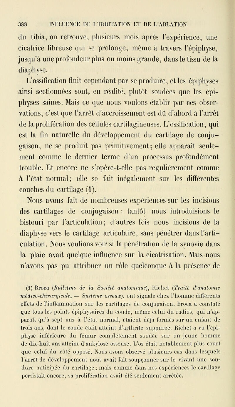 du tibia, on retrouve, plusieurs mois après l'expérience, une cicatrice fibreuse qui se prolonge, même à travers l'épiphyse, jusqu'à une profondeur plus ou moins grande, dans le tissu de la diaphyse. L'ossification finit cependant par se produire, et les épiphyses ainsi sectionnées sont, en réalité, plutôt soudées que les épi- physes saines. Mais ce que nous voulons établir par ces obser- vations, c'est que l'arrêt d'accroissement est dû d'abord à l'arrêt de la prolifération des cellules cartilagineuses. L'ossification, qui est la fin naturelle du développement du cartilage de conju- gaison, ne se produit pas primitivement; elle apparaît seule- ment comme le dernier terme d'un processus profondément troublé. Et encore ne s'opère-t-elle pas régulièrement comme à l'état normal; elle se fait inégalement sur les différentes couches du cartilage (1). Nous avons fait de nombreuses expériences sur les incisions des cartilages de conjugaison : tantôt nous introduisions le bistouri par l'articulation; d'autres fois nous incisions de la diaphyse vers le cartilage articulaire, sans pénétrer dans l'arti- culation. Nous voulions voir si la pénétration de la synovie dans la plaie avait quelque influence sur la cicatrisation. Mais nous n'avons pas pu attribuer un rôle quelconque à la présence de (1) Broca {Bulletins de la Société anatomique), Richet (Traité cVanatomie médico-chirurgicale, — Système osseux), ont signalé chez l'homme différents effets de l'inflammation sur les cartilages de conjugaison. Broca a constaté que tous les points épiphysaires du coude, même celui du radius, qui n'ap- paraît qu'à sept ans à l'état normal, étaient déjà formés sur un enfant de trois ans, dont le coude était atteint d'arthrite suppurée. Richet a vu l'épi- physe inférieure du fémur complètement soudée sur un jeune homme de dix-huit ans atteint d'ankylose osseuse. L'os était notablement plus court que celui du côté opposé. Nous avons observé plusieurs cas dans lesquels l'arrêt de développement nous avait fait soupçonner sur le vivant une sou- dure anticipée du cartilage; mais comme dans nos expériences le cartilage persistait encore, sa prolifération avait, été seulement arrêtée.