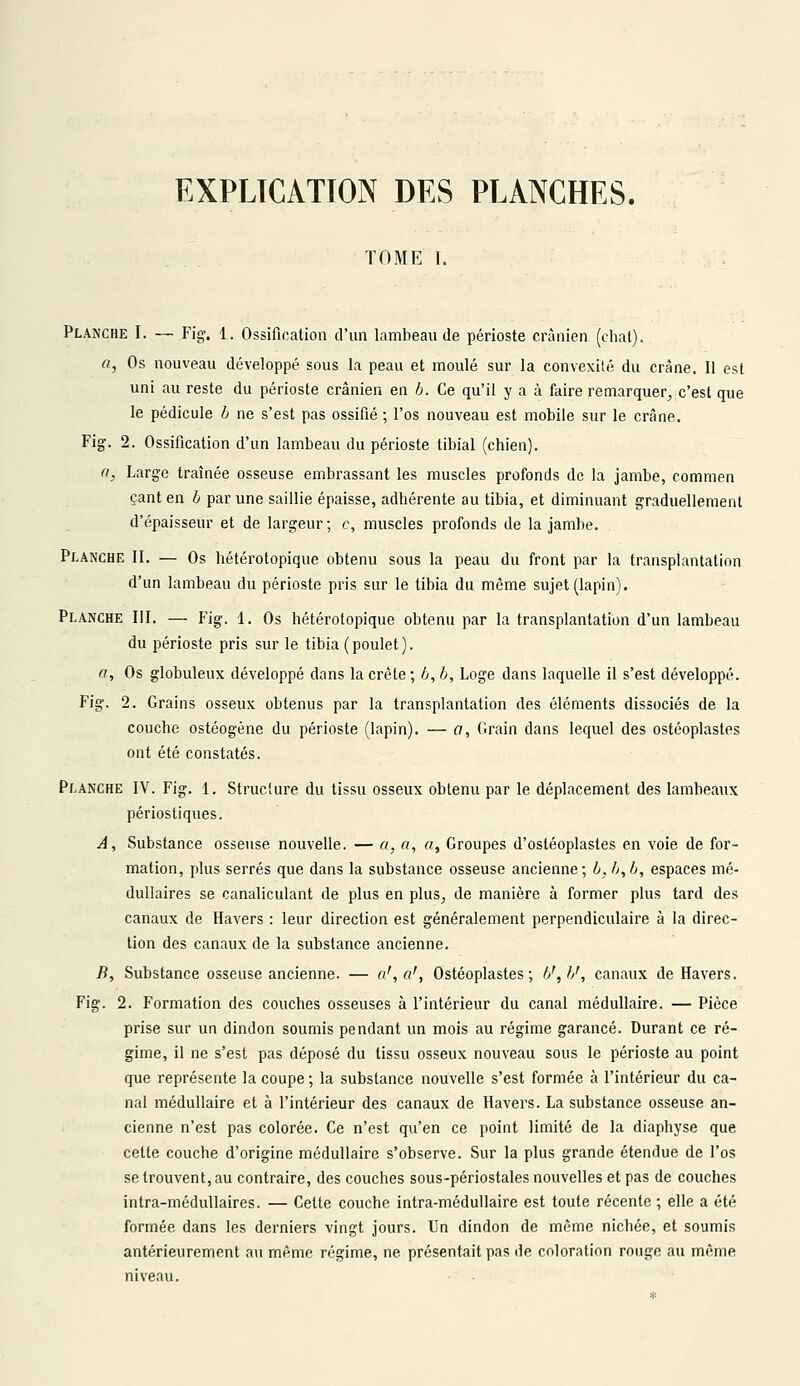 TOME Planche I. — Fig. 1. Ossification d'un lambeau de périoste crânien (chat). «, Os nouveau développé sous la peau et moulé sur la convexité du crâne. Il est uni au reste du périoste crânien en b. Ce qu'il y a à faire remarquer, c'est que le pédicule b ne s'est pas ossifié ; l'os nouveau est mobile sur le crâne. Fig. 2. Ossification d'un lambeau du périoste tibial (chien). a, Large traînée osseuse embrassant les muscles profonds de la jambe, commen çant en b par une saillie épaisse, adhérente au tibia, et diminuant graduellement d'épaisseur et de largeur ; c, muscles profonds de la jambe. Planche II. — Os hétérotopique obtenu sous la peau du front par la transplantation d'un lambeau du périoste pris sur le tibia du même sujet (lapin). Planche III. — Fig. 1. Os hétérotopique obtenu par la transplantation d'un lambeau du périoste pris sur le tibia (poulet). ri, Os globuleux développé dans la crête ; b, b, Loge dans laquelle il s'est développé. Fig. 2. Grains osseux obtenus par la transplantation des éléments dissociés de la couche ostéogène du périoste (lapin). — a, Grain dans lequel des ostéoplastes ont été constatés. Planche IV. Fig. 1. Structure du tissu osseux obtenu par le déplacement des lambeaux périostiques. A, Substance osseuse nouvelle. — a, a, a, Groupes d'ostéoplastes en voie de for- mation, plus serrés que dans la substance osseuse ancienne ; b, b, b, espaces mé- dullaires se canaliculant de plus en plus, de manière à former plus tard des canaux de Havers : leur direction est généralement perpendiculaire à la direc- tion des canaux de la substance ancienne. /?, Substance osseuse ancienne. — a', a', Ostéoplastes; b',h', canaux de Havers. Fig. 2. Formation des couches osseuses à l'intérieur du canal médullaire. — Pièce prise sur un dindon soumis pendant un mois au régime garance. Durant ce ré- gime, il ne s'est pas déposé du tissu osseux nouveau sous le périoste au point que représente la coupe ; la substance nouvelle s'est formée à l'intérieur du ca- nal médullaire et à l'intérieur des canaux de Havers. La substance osseuse an- cienne n'est pas colorée. Ce n'est qu'en ce point limité de la diaphyse que celte couche d'origine médullaire s'observe. Sur la plus grande étendue de l'os se trouvent, au contraire, des couches sous-périostales nouvelles et pas de couches intra-médullaires. — Cette couche intra-médullaire est toute récente ; elle a été formée dans les derniers vingt jours. Un dindon de même nichée, et soumis antérieurement au même régime, ne présentait pas de coloration rouge au même niveau.