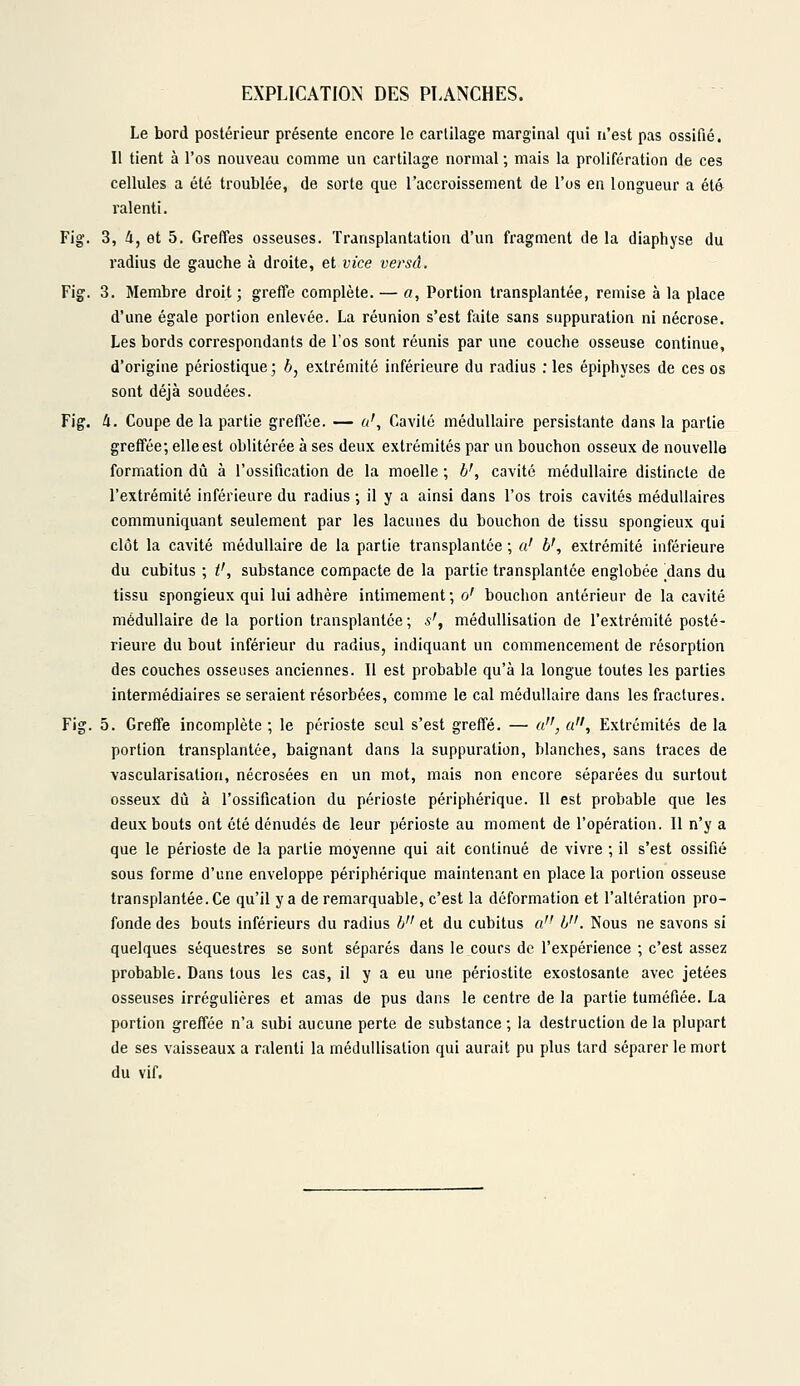 Le bord postérieur présente encore le cartilage marginal qui n'est pas ossifié. Il tient à l'os nouveau comme un cartilage normal ; mais la prolifération de ces cellules a été troublée, de sorte que l'accroissement de l'os en longueur a été ralenti. Fig. 3, 4, et 5. Greffes osseuses. Transplantation d'un fragment de la diaphyse du radius de gauche à droite, et vice versa. Fig. 3. Membre droit; greffe complète. — a, Portion transplantée, remise à la place d'une égale portion enlevée. La réunion s'est faite sans suppuration ni nécrose. Les bords correspondants de l'os sont réunis par une couche osseuse continue, d'origine périostique ; b, extrémité inférieure du radius : les épiphyses de ces os sont déjà soudées. Fig. II. Coupe de la partie greffée. — a', Cavité médullaire persistante dans la partie greffée; elle est oblitérée à ses deux extrémités par un bouchon osseux de nouvelle formation dû à l'ossification de la moelle ; b', cavité médullaire distincte de l'extrémité inférieure du radius ; il y a ainsi dans l'os trois cavités médullaires communiquant seulement par les lacunes du bouchon de tissu spongieux qui clôt la cavité médullaire de la partie transplantée ; a' b', extrémité inférieure du cubitus ; t', substance compacte de la partie transplantée englobée dans du tissu spongieux qui lui adhère intimement; o' bouchon antérieur de la cavité médullaire de la portion transplantée ; s', médullisation de l'extrémité posté- rieure du bout inférieur du radius, indiquant un commencement de résorption des couches osseuses anciennes. Il est probable qu'à la longue toutes les parties intermédiaires se seraient résorbées, comme le cal médullaire dans les fractures. Fig. 5. Greffe incomplète ; le périoste seul s'est greffé. — a, a, Extrémités de la portion transplantée, baignant dans la suppuration, blanches, sans traces de vascularisation, nécrosées en un mot, mais non encore séparées du surtout osseux dû à l'ossification du périoste périphérique. Il est probable que les deux bouts ont été dénudés de leur périoste au moment de l'opération. Il n'y a que le périoste de la partie moyenne qui ait continué de vivre ; il s'est ossifié sous forme d'une enveloppe périphérique maintenant en place la portion osseuse transplantée. Ce qu'il y a de remarquable, c'est la déformation et l'altération pro- fonde des bouts inférieurs du radius 6 et du cubitus a b. Nous ne savons si quelques séquestres se sont séparés dans le cours de l'expérience ; c'est assez probable. Dans tous les cas, il y a eu une périostite exostosante avec jetées osseuses irrégulières et amas de pus dans le centre de la partie tuméfiée. La portion greffée n'a subi aucune perte de substance ; la destruction de la plupart de ses vaisseaux a ralenti la médullisation qui aurait pu plus tard séparer le mort du vif.