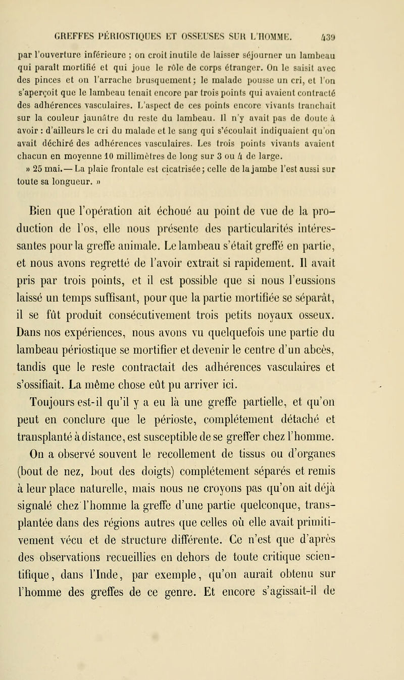 par l'ouverture inférieure ; on croit inutile de laisser séjourner un lambeau qui paraît mortifié et qui joue le rôle de corps étranger. On le saisit avec des pinces et on l'arrache brusquement; le malade pousse un cri, et l'on s'aperroit que le lambeau tenait encore par trois points qui avaient contracté des adhérences vasculaires. L'aspect de ces points encore vivants tranchait sur la couleur jaunâtre du reste du lambeau. Il n'y avait pas de doute à avoir : d'ailleurs le cri du malade et le sang qui s'écoulait indiquaient qu'on avait déchiré des adhérences vasculaires. Les trois points vivants avaient chacun en moyenne 10 millimètres de long sur 3 ou l\ de large. » 25 mai.— La plaie frontale est cicatrisée; celle de la jambe l'est aussi sur toute sa longueur. » Bien que l'opération ait échoué au point de vue de la pro- duction de l'os, elle nous présente des particularités intéres- santes pour la greffe animale. Le lambeau s'était greffé en partie, et nous avons regretté de l'avoir extrait si rapidement. Il avait pris par trois points, et il est possible que si nous l'eussions laissé un temps suffisant, pour que la partie mortifiée se séparât, il se fût produit consécutivement trois petits noyaux osseux. Dans nos expériences, nous avons vu quelquefois une partie du lambeau périostique se mortifier et devenir le centre d'un abcès, tandis que le reste contractait des adhérences vasculaires et s'ossifiait. La même chose eût pu arriver ici. Toujours est-il qu'il y a eu là une greffe partielle, et qu'on peut en conclure que le périoste, complètement détaché et transplanté à distance, est susceptible de se greffer chez l'homme. On a observé souvent le recollement de tissus ou d'organes (bout de nez, bout des doigts) complètement séparés et remis à leur place naturelle, mais nous ne croyons pas qu'on ait déjà signalé chez l'homme la greffe d'une partie quelconque, trans- plantée dans des régions autres que celles où elle avait primiti- vement vécu et de structure différente. Ce n'est que d'après des observations recueillies en dehors de toute critique scien- tifique, dans l'Inde, par exemple, qu'on aurait obtenu sur l'homme des greffes de ce genre. Et encore s'agissait-il de