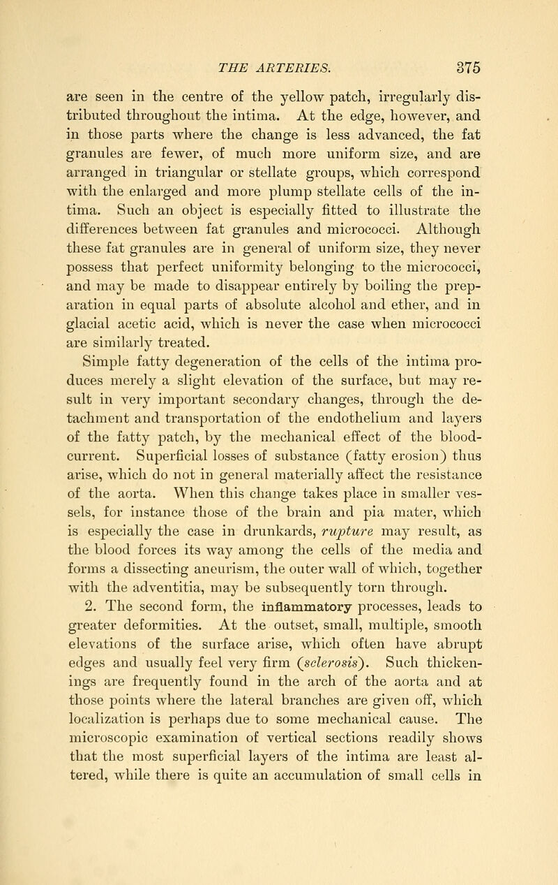 are seen in the centre of the yellow patch, irregularly dis- tributed throughout the intima. At the edge, however, and in those parts where the change is less advanced, the fat granules are fewer, of much more uniform size, and are arranged in triangular or stellate groups, which correspond with the enlarged and more plump stellate cells of the in- tima. Such an object is especially fitted to illustrate the differences between fat granules and micrococci. Although these fat granules are in general of uniform size, they never possess that perfect uniformity belonging to the micrococci, and may be made to disappear entirely by boiling the prep- aration in equal parts of absolute alcohol and ether, and in glacial acetic acid, which is never the case when micrococci are similarly treated. Simple fatty degeneration of the cells of the intima pro- duces merely a slight elevation of the surface, but may re- sult in very important secondary changes, through the de- tachment and transportation of the endothelium and layers of the fatty patch, by the mechanical effect of the blood- current. Superficial losses of substance (fatty erosion) thus arise, which do not in general materially affect the resistance of the aorta. When this change takes place in smaller ves- sels, for instance those of the brain and pia mater, which is especially the case in drunkards, rupture may result, as the blood forces its way among the cells of the media and forms a dissecting aneurism, the outer wall of which, together with the adventitia, may be subsequently torn through. 2. The second form, the inflammatory processes, leads to greater deformities. At the outset, small, multiple, smooth elevations of the surface arise, which often have abrupt edges and usually feel very firm (sclerosis). Such thicken- ings are frequently found in the arch of the aorta and at those points where the lateral branches are given off, which localization is perhaps due to some mechanical cause. The microscopic examination of vertical sections readily shows that the most superficial layers of the intima are least al- tered, while there is quite an accumulation of small cells in