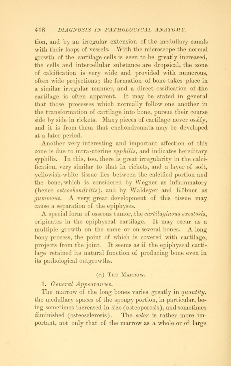 tion, and by an irregular extension of the medullary canals with their loops of vessels. With the microscope the normal gro\vth of the cartilage cells is seen to be greatly increased, the cells and intercellular substance are dropsical, the zone of calcification is very wide and provided with numerous, often wide projections; the formation of bone takes place in a similar irregular manner, and a direct ossification of the cartilage is often apparent. It may be stated in general that those processes which normally follow one another in the transformation of cartilage into bone, pursue their course side by side in rickets. ISIany pieces of cartilage never ossify, and it is from them that enchondromata may be developed at a later period. Another very interesting and important alTcction of tliis zone is due to intra-uterine syphilis^ and indicates hereditary syphilis. In this, too, there is great irregularity in the calci- fication, very similar to that in rickets, and a layer of soft, yellowish-white tissue hes between the calcified portion and the bone, which is considered by Wegner as inflammatory (hence osteochondritis'), and by Waldeyer and Kühner as gummous. A very great development of this tissue may cause a separation of the epipliyses. A special form of osseous tumor, the cartilaginous exostosis, originates in the epiphyseal cartilage. It may occur as a multiple growth on the same or on several bones. A long bony process, the point of which is covered with cartilage, projects from the joint. It seems as if the epiphyseal carti- lage retained its natural function of producing bone even in its pathological outgrowths. (c.) The Marrow. 1. General Appearances. The marrow of the long bones varies greatly in quantity, the medullary spaces of the spongy portion, in particular, be- ing sometimes increased in size (osteoporosis), and sometimes diminished (osteosclerosis). The color is rather more im- portant, not only that of the marrow as a whole or of large