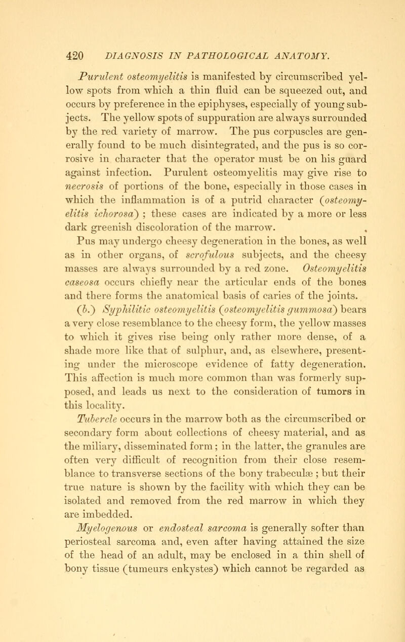 Purulent osteomyelitis is manifested by circumscribed yel- low spots from which a thin fluid can be squeezed out, and occurs by preference in the epiphyses, especially of young sub- jects. The yellow spots of suppuration are always surrounded by the red variety of marrow. The pus corpuscles are gen- erally found to be much disintegrated, and the pus is so cor- rosive in character that the operator must be on his guard against infection. Purulent osteomyelitis may give rise to necrosis of portions of the bone, especially in those cases in which the inflammation is of a putrid character (^osteomy- elitis ichorosa) ; these cases are indicated by a more or less dark greenish discoloration of the marrow. , Pus may undergo cheesy degeneration in tlie bones, as well as in other organs, of scrofulous subjects, and the cheesy masses are always surrounded by a red zone. Osteomyelitis caseosa occurs chiefly near the articuhir ends of the bones and there forms the anatomical basis of caries of the joints. (5.) Syphilitic osteomyelitis (^osteomyelitis gummosa') hears a very close resemblance to the cheesy form, the yellow masses to which it gives rise being only rather more dense, of a shade more like that of sulphur, and, as elsewhere, present- ing under the microscope evidence of fatty degeneration. This affection is much more common than was formerly sup- posed, and leads us next to the consideration of tumors in this locality. Tubercle occurs in the marrow both as the circumscribed or secondary form about collections of cheesy material, and as the miliary, disseminated form; in the latter, the granules are often very difficult of recognition from their close resem- blance to transverse sections of the bony trabeculas; but their true nature is shown by the facility with which they can be isolated and removed from the red marrow in which they are imbedded. Myelogenous or endosteal sarcoma is generally softer than periosteal sarcoma and, even after having attained the size of the head of an adult, may be enclosed in a thin shell of bony tissue (tumeurs enkystes) which cannot be regarded as