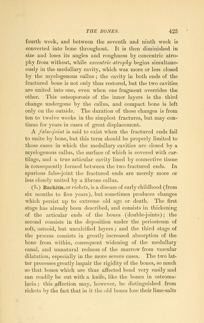 fourth week, and between the seventh and ninth week is converted into bone throughout. It is then diminished in size and loses its angles and roughness by concentric atro- phy from without, while excentric atrophy begins simultane- ously in the medullary cavity, which was more or less closed by the myelogenous callus ; the cavity in both ends of the fractured bone is not only thus restored, but the two cavities are united into one, even when one fragment overrides the other. This osteoporosis of the inner layers is the third change undergone by the callus, and compact bone is left only on the outside. The duration of these changes is from ten to twelve weeks in the simplest fractures, but may con- tinue for years in cases of great displacement. A false-joint is said to exist when the fractured ends fail to unite by bone, but this term should be properly limited to those cases in which the medullary cavities are closed by a myelogenous callus, the surface of which is covered with car- tilage, and a true articular cavity lined by connective tissue is consequently formed between the two fractured ends. In spurious false-joint the fractured ends are merely more or less closely united by a fibrous callus. (6.) Eachitis, or rickets, is a disease of early childhood (from six months to five years), but sometimes produces changes which persist up to extreme old age or death. The first stage has already been described, and consists in thickening of the articular ends of the bones (double-joints); the second consists in the deposition under the periosteum of soft, osteoid, but uncalcified layers ; and the third stage of the process consists in greatly increased absorption of the bone from within, consequent widening of the medullary canal, and unnatural redness of the marrow from vascular dilatation, especially in the more severe cases. The two lat- ter processes greatly impair the rigidity of the bones, so much so that bones which are thus affected bend very easily and can readily be cut with a knife, like the bones in osteoma- lacia ; this affection may, however, be distinguished from rickets by the fact that in it the old bones lose their lime-salts