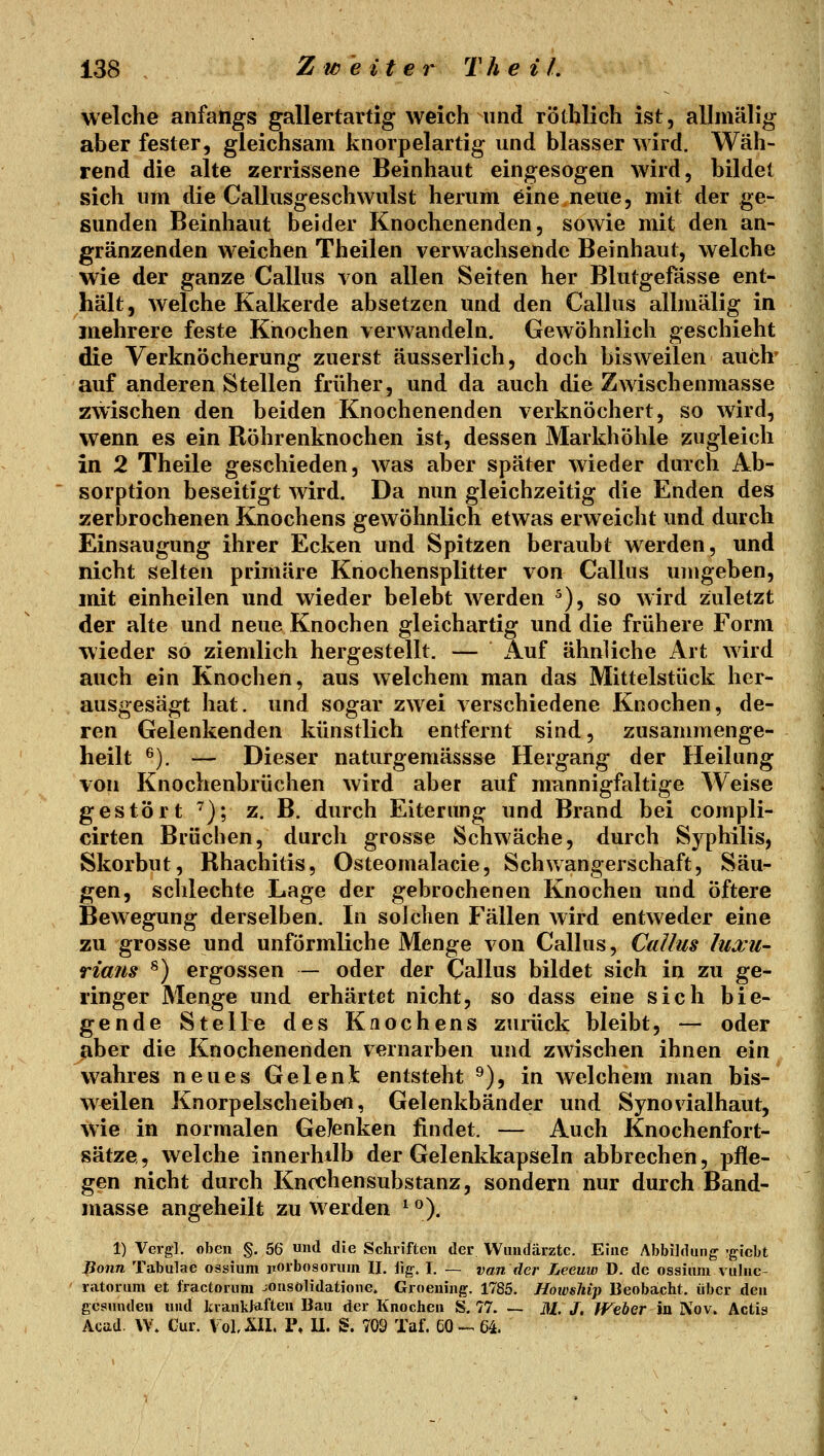 welche anfangs gallertartig weich und röthlich ist, allmälig aber fester, gleichsam knorpelartig und blasser wird. Wäh- rend die alte zerrissene Beinhaut eingesogen wird, bildet sich um die Callusgeschwulst herum eine neue, mit der ge- sunden Beinhaut beider Knochenenden, sowie mit den an- gränzenden weichen Theilen verwachsende Beinhaut, welche wie der ganze Callus von allen Seiten her Blutgefässe ent- hält, welche Kalkerde absetzen und den Calhis allmälig in mehrere feste Knochen verwandeln. Gewöhnlich geschieht die Verknöcherung zuerst äusserlich, doch bisweilen auch' auf anderen Stellen früher, und da auch die Zwischenmasse zwischen den beiden Knochenenden verknöchert, so wird, wenn es ein Röhrenknochen ist, dessen Markhöhle zugleich in 2 Theile geschieden, was aber später wieder durch Ab- sorption beseitigt wird. Da nun gleichzeitig die Enden des zerbrochenen Knochens gewöhnlich etwas erweicht und durch Einsaugung ihrer Ecken und Spitzen beraubt werden, und nicht Selten primäre Knochensplitter von Callus umgeben, mit einheilen und wieder belebt werden ^), so wird zuletzt der alte und neue Knochen gleichartig und die frühere Form wieder so ziemlich hergestellt. — iluf ähnliche Art wird auch ein Knochen, aus welchem man das Mittelstück her- ausgesägt hat. und sogar zwei verschiedene Knochen, de- ren Gelenkenden künstlich entfernt sind, zusammenge- heilt ^). — Dieser naturgemässse Hergang der Heilung von Knochenbrüchen wird aber auf mannigfaltige Weise gestört ^); z. B. durch Eiterimg und Brand bei compli- cirten Brüchen, durch grosse Schwäche, durch Syphilis, Skorbut, Rhachitis, Osteomalacie, Schwangerschaft, Säu- gen, schlechte Lage der gebrochenen Knochen und öftere Bewegung derselben. In soJchen Fällen wird entweder eine zu grosse und unförmliche Menge von Callus, Callus luxu- rians ^) ergossen — oder der Callus bildet sich in zu ge- ringer Menge und erhärtet nicht, so dass eine sich bie- gende Stelle des Knochens zurück bleibt, — oder ^ber die Knochenenden vernarben und zwischen ihnen ein wahres neues Geleni entsteht ^), in Avelchem man bis- weilen Knorpelscheiben, Gelenkbänder und Synovialhaut, wie in normalen Gelenken findet. — Auch Knochenfort- sätze, welche innerhilb der Gelenkkapseln abbrechen, pfle- gen nicht durch Knochen Substanz, sondern nur durch Band- masse angeheilt zu werden ^ *^). 1) Vergl. oben §. 56 «d die Schriften der Wundärzte. Eine Abbildung 'giebt Bonn Tabulae ossiura iiorbosoruin II. ilg^. I. — van der Leeuw D. de ossium vulnc- ' ratorum et fractorum jonsolidatione. Groening. 1785. Howship Beobacht. über den gesunden und kraukMften Bau der Knochen S. 77. — M. J. Weber in Nov. Actis Acad. W. Cur. VoLXII. P, U. S. 709 Taf. GO -^64.