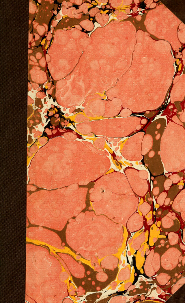 digitised image 1