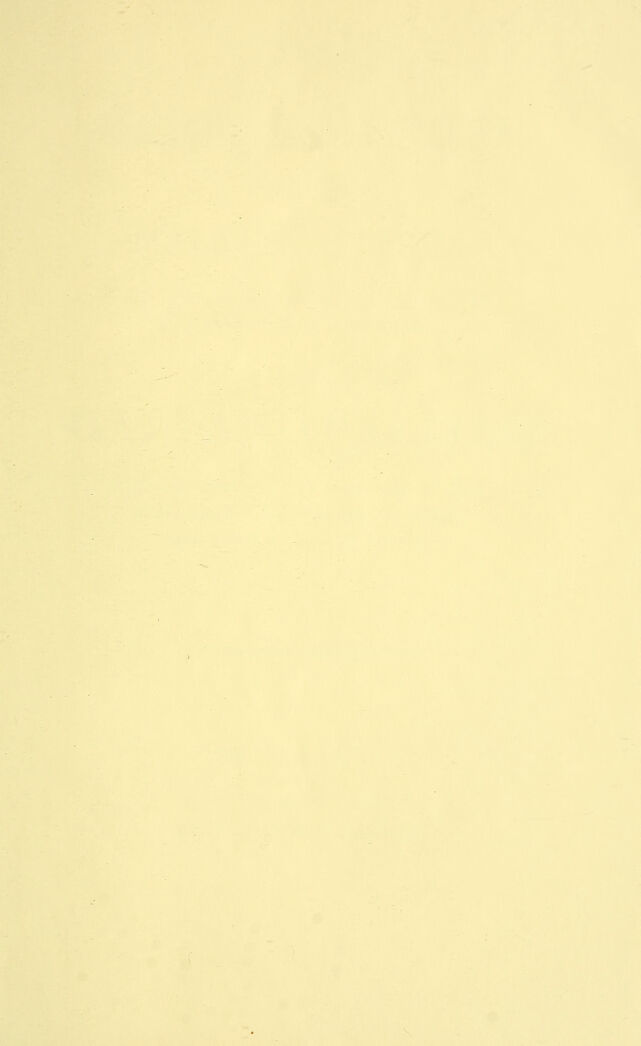 digitised image 3