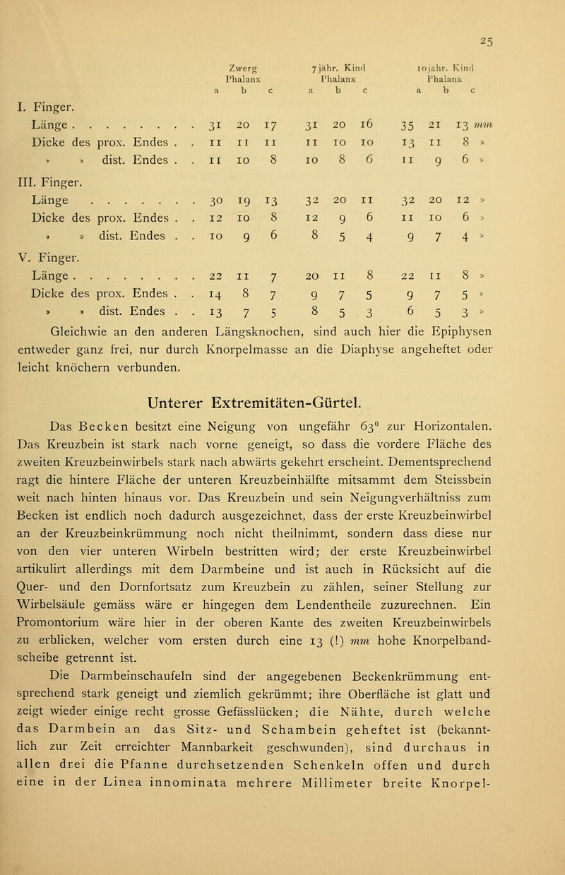 Zwerg 7jähr. Kind lojähr. Kin'l Ph<alanx Phalanx Phalanx bc abc abc I. Finger. Länge 31 20 17 31 20 16 35 21 13 //<m Dicke des prox. Endes .. 11 11 11 ri 10 10 13 n S > » » dist. Endes . . 11 10 8 10 8 6 11 9 6 >' III. Finger. Länge 30 ig 13 32 20 11 32 20 12 » Dicke des prox. Endes . . 12 10 8 12 9 6 11 10 6 » > » dist. Endes ..10 96 854 974» V. Finger. Länge 22 11 7 20 11 8 22 11 8 » Dicke des prox. Endes ..14 87 975 975* > > dist. Endes ..13 75 853 653» Gleichwie an den anderen Längsknochen, sind auch hier die Epiphysen entweder ganz frei, nur durch Knorpelmasse an die Diaphyse angeheftet oder leicht knöchern verbunden. Unterer Extremitäten-Gürtel. Das Becken besitzt eine Neigung von ungefähr 63 zur Horizontalen. Das Kreuzbein ist stark nach vorne geneigt, so dass die vordere Fläche des zweiten Kreuzbeinwirbels stark nach abwärts gekehrt erscheint. Dementsprechend ragt die hintere Fläche der unteren Kreuzbeinhälfte mitsammt dem Steissbein weit nach hinten hinaus vor. Das Kreuzbein und sein Neigungverhältniss zum Becken ist endlich noch dadurch ausgezeichnet, dass der erste Kreuzbeinwirbel an der Kreuzbeinkrümmung noch nicht theilnimmt, sondern dass diese nur von den vier unteren Wirbeln bestritten wird; der erste Kreuzbeinwirbel artikulirt allerdings mit dem Darmbeine und ist auch in Rücksicht auf die Quer- und den Dornfortsatz zum Kreuzbein zu zählen, seiner Stellung zur Wirbelsäule gemäss wäre er hingegen dem Lendentheile zuzurechnen. Ein Promontorium wäre hier in der oberen Kante des zweiten Kreuzbeinwirbels zu erblicken, welcher vom ersten durch eine 13 (!) mm hohe Knorpelband- scheibe getrennt ist. Die Darmbeinschaufeln sind der angegebenen Beckenkrümmung ent- sprechend stark geneigt und ziemlich gekrümmt; ihre Oberfläche ist glatt und zeigt wieder einige recht grosse Gefässlücken; die Nähte, durch welche das Darmbein an das Sitz- und Schambein geheftet ist (bekannt- Kch zur Zeit erreichter Mannbarkeit geschwunden), sind durchaus in allen drei die Pfanne durchsetzenden Schenkeln offen und durch eine in der Linea innominata mehrere Millimeter breite Knorpel-