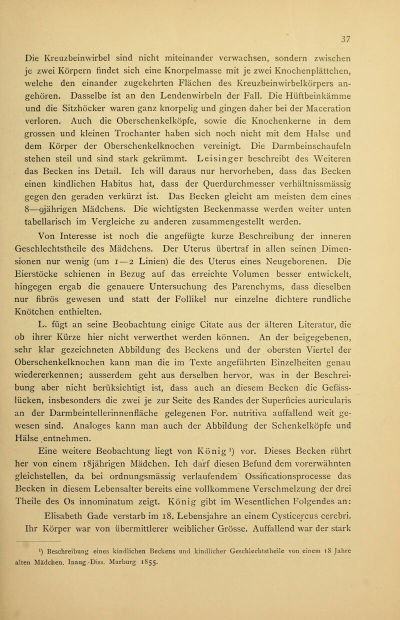 Die Kreuzbeinwirbel sind nicht miteinander verwachsen, sondern zwischen je zwei Körpern findet sich eine Knorpelmasse mit je zwei Knochenplättchen, welche den einander zugekehrten Flächen des Kreuzbeinwirbelkörpers an- gehören. Dasselbe ist an den Lendenwirbeln der Fall. Die Hüftbeinkämme und die Sitzhöcker waren ganz knorpelig und gingen daher bei der Maceration verloren. Auch die Oberschenkelköpfe, sowie die Knochenkerne in dem grossen und kleinen Trochanter haben sich noch nicht mit dem Halse und dem Körper der Oberschenkelknochen vereinigt. Die Darmbeinschaufeln stehen steil und sind stark gekrümmt. Leisinger beschreibt des Weiteren das Becken ins Detail. Ich will daraus nur hervorheben, dass das Becken einen kindlichen Habitus hat, dass der Querdurchmesser verhältnissmässig gegen den geraden verkürzt ist. Das Becken gleicht am meisten dem eines 8—gjährigen Mädchens. Die wichtigsten Beckenmasse werden weiter unten tabellarisch im Vergleiche zu anderen zusammengestellt werden. Von Interesse ist noch die angefügte kurze Beschreibung der inneren Geschlechtstheile des Mädchens. Der Uterus übertraf in allen seinen Dimen- sionen nur wenig (um i—2 Linien) die des Uterus eines Neugeborenen. Die Eierstöcke schienen in Bezug auf das erreichte Volumen besser entwickelt, hingegen ergab die genauere Untersuchung des Parenchyms, dass dieselben nur fibrös gewesen und statt der Follikel nur einzelne dichtere rundliche Knötchen enthielten. L. fügt an seine Beobachtung einige Citate aus der älteren Literatur, die ob ihrer Kürze hier nicht verwerthet werden können. An der beigegebenen, sehr klar gezeichneten Abbildung des Beckens und der obersten Viertel der Oberschenkelknochen kann man die im Texte angeführten Einzelheiten genau wiedererkennen; ausserdem geht aus derselben hervor, was in der Beschrei- bung aber nicht berüksichtigt ist, dass auch an diesem Becken die Gefäss- lücken, insbesonders die zwei je zur Seite des Randes der Superficies auricularis an der Darmbeintellerinnenfläche gelegenen For. nutritiva auffallend weit ge- wesen sind. Analoges kann man auch der Abbildung der Schenkelköpfe und Hälse .entnehmen. Eine weitere Beobachtung liegt von König ^) vor. Dieses Becken rührt her von einem 18jährigen Mädchen. Ich darf diesen Befund dem vorerwähnten gleichstellen, da bei ordnungsmässig verlaufendem' Ossificationsprocesse das Becken in diesem Lebensalter bereits eine vollkommene Verschmelzung der drei Theile des Os innominatum zeigt. König gibt im Wesentlichen Folgendes an: Elisabeth Gade verstarb im 18. Lebensjahre an einem Cysticercus cerebri. Ihr Körper war von übermittlerer weiblicher Grösse. Auffallend war der stark 1) Beschreibung eines kindliclien Beckens und kindlicher Geschlechtstheile von einem 18 Jahre alten Mädchen. Inaug.-Diss. JMarburg 1855.