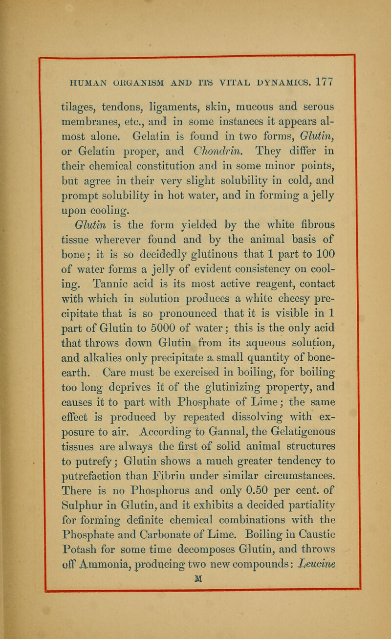 tilages, tendons, ligaments, skin, mucous and serous membranes, etc., and in some instances it appears al- most alone. Gelatin is found in two forms, Glutin, or Gelatin proper, and Chondrln. They differ in their chemical constitution and in some minor points, but agree in their very slight solubility in cold, and prompt solubility in hot water, and in forming a jelly upon cooling. Glutin is the form yielded by the white fibrous tissue wherever found and by the animal basis of bone; it is so decidedly glutinous that 1 part to 100 of water forms a jelly of evident consistency on cool- ing. Tannic acid is its most active reagent, contact with which in solution produces a white cheesy pre- cipitate that is so pronounced that it is visible in 1 part of Glutin to 5000 of water; this is the only acid that throws down Glutin from its aqueous solution, and alkalies only precipitate a. small quantity of bone- earth. Care must be exercised in boiling, for boiling too long deprives it of the glutinizing property, and causes it to part with Phosphate of Lime; the same effect is produced by repeated dissolving with ex- posure to air. According to Gannal, the Gelatigenous tissues are always the first of solid animal structures to putrefy; Glutin shows a much greater tendency to putrefaction than Fibrin under similar circumstances. There is no Phosphorus and only 0.50 per cent, of Sulphur in Glutin, and it exhibits a decided partiality for forming definite chemical combinations with the Phosphate and Carbonate of Lime. Boiling in Caustic Potash for some time decomposes Glutin, and throws off Ammonia, producing two new compounds; Leucine M