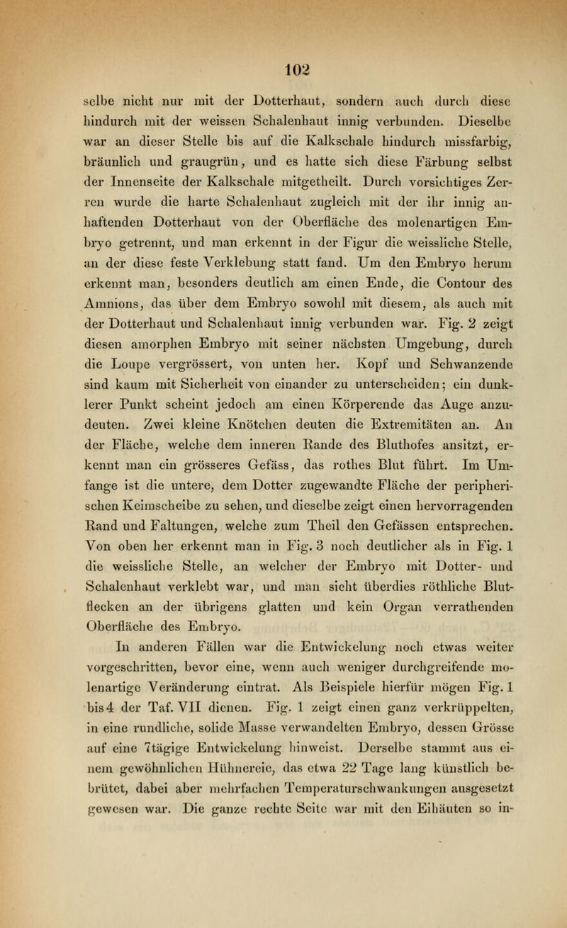 selbe nicht nur mit der Dotterhaiit, sondern auch durch diese hindurch mit der weissen Schalenhaut innig verbunden. Dieselbe war an dieser Stelle bis auf die Kalkschale hindurch missfarbig, bräunlich und graugrün, und es hatte sich diese Färbung selbst der Innenseite der Kalkschale mitgetheilt. Durch vorsichtiges Zer- ren wurde die harte Schalenhaut zugleich mit der ihr innig an- haftenden Dotterhaut von der Oberfläche des molenartigen Em- bryo getrennt, und man erkennt in der Figur die weissliche Stelle, an der diese feste Verklebung statt fand. Um den Embryo herum erkennt man, besonders deutlich am einen Ende, die Contour des Amnions, das über dem Embryo sowohl mit diesem, als auch mit der Dotterhaut und Schalenhaut innig verbunden war. Fig. 2 zeigt diesen amorphen Embryo mit seiner nächsten Umgebung, durch die Loupe vergrössert, von unten her. Kopf und Schwanzende sind kaum mit Sicherheit von einander zu unterscheiden; ein dunk- lerer Punkt scheint jedoch am einen Körperende das Auge anzu- deuten. Zwei kleine Knötchen deuten die Extremitäten an. An der Fläche, welche dem inneren Rande des Bluthofes ansitzt, er- kennt man ein grösseres Gefäss, das rothes Blut führt. Im Um- fange ist die untere, dem Dotter zugewandte Fläche der peripheri- schen Keimscheibe zu sehen, und dieselbe zeigt einen hervorragenden Band und Faltungen, welche zum Theil den Gefässen entsprechen. Von oben her erkennt man in Fig. 3 noch deutlicher als in Fig. 1 die weissliche Stelle, an welcher der Embrvo mit Dotter- und Schalenhaut verklebt war, und man sieht überdies röthliche Blut- flecken an der übrigens glatten und kein Organ verrathenden Oberfläche des Embryo. In anderen Fällen war die Entwickelung noch etwas weiter vorgeschritten, bevor eine, wenn auch weniger durchgreifende mo- lenartige Veränderung eintrat. Als Beispiele hierfür mögen Fig. 1 bis4 der Taf. VII dienen. Fig. 1 zeigt einen ganz verkrüppelten, in eine rundliclie, solide Masse verwandelten Embryo, dessen Grösse auf eine Ttägige Entwickelung liinweist. Derselbe stammt aus ei- nem gewöhnlichen Ilühncreie, das etwa 22 Tage lang künstlich be- brütet, dabei aber mehrfachen Temperaturschwankungen ausgesetzt gewesen war. Die ganze rechte Seite war mit den Eihäuten so in-