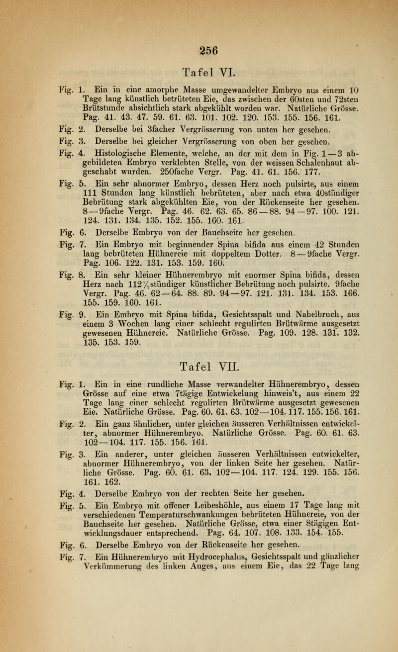 Tafel VI. Fig. 1. Ein in eine amorphe Masse umgewandelter Embryo aus einem 10 Tage lang künstlich betrüteten Eie, das zwischen der 60sten und 72sten Brütstunde absichtlich stark abgekühlt worden war. Natürliche Grösse. Pag. 41. 43. 47. 59. 61. 63. 101. 102. 120. 153. 155. 156. 161. Fig. 2. Derselbe bei 3facher Vergrösserung von unten her gesehen. Fig. 3. Derselbe bei gleicher Vergrösserung von oben her gesehen. Fig. 4. Histologische Elemente, welche, an der mit dem in Fig. 1 — 3 ab- gebildeten Embryo verklebten Stelle, von der weissen Schalenhaut ab- geschabt wurden. 250fache Vergr. Pag. 41. 61. 156. 177. Fig. 5. Ein sehr abnormer Embryo, dessen Herz noch pulsirte, aus einem 111 Stunden lang künstlich bebrüteten, aber nach etwa 40stündiger Bebrütung stark abgekühlten Eie, von der Rückenseite her gesehen. 8 —9fache Vergr. Pag. 46. 62. 63. 65. 86 — 88. 94 — 97. 100. 121. 124. 131. 134. 135. 152. 155. 160. 161. Fig. 6. Derselbe Embryo von der Bauchseite her gesehen. Fig. 7. Ein Embryo mit beginnender Spina bifida aus einem 42 Stunden lang bebrüteten Hühnereie mit doppeltem Dotter. 8 — 9fache Vergr. Pag. 106. 122. 131. 153. 159. 160. Fig. 8. Ein sehr kleiner Hühnerembryo mit enormer Spina bifida, dessen Herz nach 112'/^stündiger künsthcher Bebrütung noch pulsirte. 9fache Vergr. Pag. 46. 62 — 64. 88. 89. 94 — 97. 121. 131. 134. 153. 166. 155. 159. 160. 161. Fig. 9. Ein Embryo mit Spina bifida, Gesichtsspalt und Nabelbruch, aus einem 3 Wochen lang einer schlecht regulirten Brütwärme ausgesetzt gewesenen Hühnereie. Natürliche Grösse. Pag. 109. 128. 131. 132. 135. 153. 159. Tafel VII. Fig. 1. Ein in eine rundliche Masse verwandelter Hühnerembryo, dessen Grösse auf eine etwa 7tägige Entwickelung hinweis't, aus einem 22 Tage lang einer schlecht regulirten Brütwärme ausgesetzt gewesenen Eie. Natürliche Grösse. Pag. 60. 61. 63. 102 — 104.117. 155.156.161. Fig. 2. Ein ganz ähnlicher, unter gleichen äusseren Verhältnissen entwickel- ter, abnormer Hühnerembryo. Natürliche Grösse. Pag. 60. 61. 63. 102—104. 117. 155. 156. 161. Fig. 3. Ein anderer, unter gleichen äusseren Verhältnissen entwickelter, abnormer Hühnerembryo, von der linken Seite her gesehen. Natür- liche Grösse. Pag. 60. 61. 63. 102—104. 117. 124. 129. 155. 156. 161. 162. Fig. 4. Derselbe Embryo von der rechten Seite her gesehen. Fig. 5. Ein Embryo mit offener Leibeshöhle, aus einem 17 Tage lang mit verschiedenen Temperaturschwankungen bebrüteten Hühnereie, von der Bauchseite her gesehen. Natürliche Grösse, etwa einer 8tägigen Ent- wicklungsdauer entsprechend. Pag. 64. 107. 108. 133. 154. 155. Fig. 6. Derselbe Embryo von der Rückenseite her gesehen. Fig. 7. Ein Hühnerembryo mit Hydrocephalus, Gesichtsspalt und gänzlicher Verkümmerung des linken Auges, aus einem Eie, das 22 Tage lang