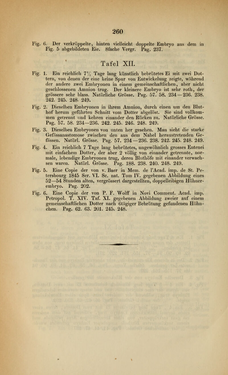 Fig. 6. Der verkrüppelte, hinten vielleicht doppelte Embryo aus dem in Fig. 5 abgebildeten Eie. 8fache Vergr. Pag. 237. Tafel XII. Fig. 1. Ein reichlich 7% Tage lang künstHch bebrütetes Ei mit zwei Dot- tern, von denen der eine keine Spur von Entwickelung zeigte, während der andere zwei Embryonen in einem gemeinschaftlichen, aber nicht geschlossenen Amnion trug. Der kleinere Embryo ist sehr roth, der grössere sehr blass. Natürliche Grösse. Pag. 57. 58. 234 — 236. 238. 242. 245. 248. 249. Fig. 2. Dieselben Embryonen in ihrem Amnion, durch einen um den Blut- hof herum geführten Schnitt vom Dotter abgelöst. Sie sind vollkom- men getrennt imd kehren einander den Rücken zu. Natürliche Grösse. Pag. 57. 58. 234—236. 242. 245. 246. 248. 249. Fig. 3. Dieselben Embryonen von unten her gesehen. Man sieht die starke Gefässanastomose zwischen den aus dem Nabel heraustretenden Ge- wissen. Natürl. Grösse. Pag. 57. 234 — 236, 238. 242. 245. 248. 249. Fig. 4. Ein reichlich 7 Tage lang bebrütetes, ungewöhnlich grosses Entenei mit einfachem Dotter, der aber 2 völlig von einander getrennte, nor- male, lebendige Embryonen trug, deren Blnthöfe mit einander verwach- sen waren. Natürl. Grösse. Pag. 188. 238. 240. 248. 249. Fig. 5. Eine Copie der von v. Baer in Mem. de l'Acad. imp. de St. Pe- tersbourg 1845 Ser. VI. Sc. nat. Tom IV. gegebenen Abbildung eines 52—54 Stunden alten, vergrössert dargestellten, doppelleibigen Hühner- embryo. Pag. 202. Fig. 6. Eine Copie der von P. F. WolfF in Novi Comment. Acad. imp. Petropol. T. XIV. Taf. XL gegebenen Abbildung zweier auf einem gemeinschaftlichen Dotter nach 6tjigiger Bebrütung gefundenen Hühn- chen. Pag. 62. 63. 201. 245. 248.