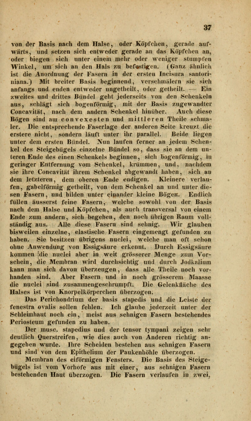 von der Basis nach dem Halse, oder Köpfchen, gerade auf- wärts, und setzen sich entweder gerade an das Köpfchen an, oder biegen sich unter einem mehr oder weniger stumpfen Winkel, um sich an den Hals zu befestigen. (Ganz ähnlich ist die Anordnung der Fasern in der ersten Incisura santori- niana.) Mit breiter Basis beginnend, verschmälern sie sich anfangs und enden entweder ungetheilt, oder getheilt. — Ein zweites und drittes Bündel geht jederseits von den Schenkeln aus, schlägt sich bogenförmig, mit der Basis zugewandter Concavität, nach dem andern Schenkel hinüber. Auch diese Bögen sind aui convexesten und mittleren Theile schma- ler. Die entsprechende Faserlage der anderen Seite kreuzt die erstere nicht, sondern läuft unter ihr parallel. Beide liegen unter dem ersten Bündel. Nun laufen ferner an jedem Schen- kel des Steigebügels einzelne Bündel so, dass sie an dem un- teren Ende des einen Schenkels beginnen, sich bogenförmig, in geringer Entfernung vom Schenkel, krümmen, und. nachdem sie ihre Concavität ihrem Schenkel abgewandt haben, sich an dem letzteren, dem oberen Ende endigen. Kleinere verlau- fen, gabelförmig getheilt, von dem Schenkel an und unter die- sen Fasern, und bilden unter einander kleine Bögen. Endlich 1 füllen äusserst feine Fasern, welche sowohl von der Basis nach dem Halse und Köpfchen, als auch transversal von einem Ende zum andern, sich begeben, den noch übrigen Raum voll- ständig aus. Alle diese Fasern sind sehnig. Wir glauben bisweilen einzelne, elastische Fasern eingemengt gefunden zu haben. Sie besitzen übrigens nuclei, welche man oft schon ohne Anwendung von Essigsäure erkennt. Durch Essigsäure kommen [die nuclei aber in weit grösserer Menge zum Vor- schein, die Membran wird durchsichtig und durch Jodkalium kann man sich davon überzeugen, dass alle Theile noch vor- handen sind. Aber Fasern und in noch grösserem Maasse die nuclei sind zusammengeschrumpft. Die Gelenkfläche des Halses ist von Knorpelkörperchen überzogen. Das Perichondrium der basis stapedis und die Leiste der fenestra ovalis sollen fehlen. Ich glaube jederzeit unter der Schleimhaut noch ein, meist aus sehnigen Fasern bestehendes : Periosteum gefunden zu haben. Der musc. stapedius und der tensor tympani zeigen sehr deutlich Querstreifen, wie dies auch von Anderen richtig an- gegeben wurde. Ihre Scheiden bestehen aus sehnigen Fasern und sind von dem Epithelium der Paukenhöhle überzogen. Membran des eiförmigen Fensters. Die Basis des Steige- bügels ist vom Vorhofe aus mit einer, aus sehnigen Fasern bestehenden Haut überzogen. Die Fasern verlaufen in zwei,