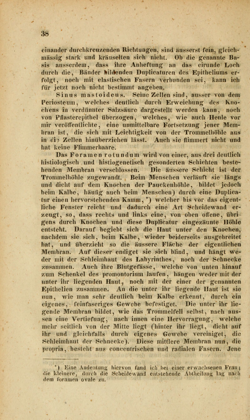 einander durchkreuzenden Richtungen, sind äusserst fein, gleich- massig stark und kräuselten sich nicht. Ob die genannte Ba- sis ausserdem, dass ihre Anheftung an das eirunde Loch durch die, Bänder bildenden Duplicaturen des Epitheliums er- folgt, noch mit elastischen Fasern verbunden sei, kann ich für jetzt noch nicht bestimmt angeben, Sinus mastoideus. Seine Zellen sind, ausser von dem Periosteum, welches deutlich durch Erweichung des Kno- chens in verdünnter Salzsäure dargestellt werden kann, noch von Pflasterepithel überzogen, welches, wie auch Henle vor mir veröffentlichte, eine unmittelbare Fortsetzung jener Mem- bran ist, die sich mit Leichtigkeit von der Trommelhöhle aus in di3 Zellen hinüberziehen lässt. Auch sie flimmert nicht und hat keine Flimmerhaare. Das Foramen rotundum wird von einer, aus drei deutlich histologisch und histiogenetisch gesonderten Schichten beste- henden Membran verschlossen. Die äussere Schicht ist der Trommelhöhle zugewandt. Beim Menschen verläuft sie längs und dicht auf dem-Knochen der Pauckenhöhle, bildet jedoch beim Kalbe, häufig auch beim Menschen) durch eine Duplica- tur einen hervorstehenden Kamm, *) welcher bis vor das eigent- liche Fenster reicht und dadurch eine Art Scheidewand er- zeugt, so, dass rechts und links eine, von oben offene, übri gens durch Knochen und diese Duplicatur eingezäunte Höhle entsteht. Darauf begiebt sich die Haut unter den Knochen, nachdem sie sich, beim Kalbe, wieder beiderseits ausgebreitet hat, und überzieht so die äussere Fläche der eigentlichen Membran. Auf dieser endiget sie sich blind, und hängt we- der mit der Schleimhaut des Labyrinthes, noch der Schnecke zusammen. Auch ihre Blutgefässe, welche von unten hinauf zum Schenkel des Promontorium laufen, hängen weder mit der unter ihr liegenden Haut, noch mit der einer der genannten Epithelien zusammen. An die unter ihr liegende Haut ist sie nun, wie man sehr deutlich beim Kalbe erkennt, durch ein eigenes, feinfaseriges Gewebe befestiget. Die unter ihr lie- gende Membran bildet, wie das Trommelfell selbst, nach aus- sen eine Vertiefung, nach innen eine Hervorragung, welche mehr seitlich von der Mitte liegt (hinter ihr liegt, dicht auf ihr und gleichfalls durch eigenes Gewebe vereiniget, die Schleimhaut der Schnecke). Diese mittlere Membran nun, die propria, besteht aus concentrischen und radialen Fasern. Jene *.) Eine Andeutung hiervon fand ich bei einer erwachsenen Frau; die kleinere, durch die Scheidewand entstehende Abtheilung lag nach dem foramen ovale zu.