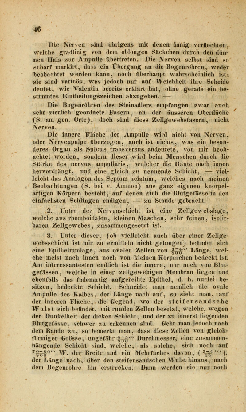 Die Nerven sind übrigens mit denen innig verflochten, welche gradlinig von dem oblongen Säckchen durch den dün- nen Hals zur Ampulle übertreten. Die Nerven selbst sind so scharf markirt, dass ein Übergang an die Bogenröhren, weder beobachtet werden kann, noch überhaupt wahrscheinlich ist; sie sind varicös, was jedoch nur auf Weichheit ihre Scheide deutet, wie Valentin bereits erklärt hat, ohne gerade ein be- stimmtes Eintheilungszeichen abzugeben. — Die Bogenröhren des Steinadlers empfangen zwar auch sehr zierlich geordnete Fasern, an der äusseren Oberfläche (S. am gen. Orte), doch sind diess Zellgewebs fasern, nicht Nerven. Die innere Fläche der Ampulle wird nicht von Nerven, oder Nervenpulpe überzogen, auch ist nichts, was ein beson- deres Organ als Sulcus transversus andeutete, von mir beob- achtet worden, sondern dieser wird beim Menschen durch die Stärke des nervus ampullaris, welcher die Häute nach innen hervordrängt, und eine gleich zu nennende Schicht, — viel- leicht das Analogon des Septum uciatum, welches nach meinen Beobachtungen (S. bei v. Amnion) aus ganz eigenen knorpel- artigen Körpern besteht, auf denen sich die Blutgefässe in den einfachsten Schlingen endigen, — zu Stande gebracht. 2. Unter der Nervenschicht ist eine Zellgewebslage, welche aus rhomboidalen, kleinen Maschen, sehr feinen, isolir- baren Zellgewebes, zusammengesetzt ist. 3. Unter dieser, (ob vielleicht auch über einer Zellge- websschicht ist mir zu ermitteln nicht gelungen) befindet sich eine Epitheliumlage, aus ovalen Zellen von f^f' Länge, wel- che meist nach innen noch von kleinen Körperchen bedeckt ist. Am interessantesten endlich ist die innere, nur noch von Blut- gefässen, welche in einer zellgewebigen Membran liegen und ebenfalls das fadenartig aufgereihte Epithel, d. h. nuclei be- sitzen, bedeckte Schicht. Schneidet man nemlich die ovale Ampulle des Kalbes, der Länge nach auf, so sieht man, auf der inneren Fläche, die Gegend, wo der steifensandsche Wulst sich befindet, mit runden Zellen besetzt, welche, wegen der Dunkelheit der dicken Schicht, und der zu innerst liegenden Blutgefässe, schwer zu erkennen sind. Geht man jedoch nach dem Bande zu, so bemerkt man, dass diese Zellen von gleich- förmiger Grösse, ungefähr f^'*? Durchmesser, eine zusammen- hängende Schicht sind, welche, als solche, sich noch auf 7§to0//' W. der Breite und ein Mehrfaches davon, Of«4'), der Länge nach, über den steifensandschen Wulst hinaus, nach dem Bogenrohre hin erstrecken. Dann werden sie nur noch