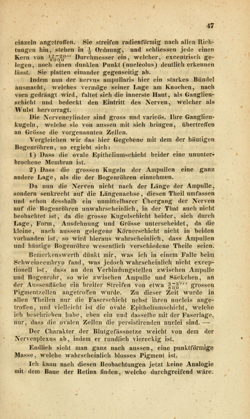 einzeln angetroffen. Sie streifen radienförmig nach allen Rich- tungen hin, stehen in ^ Ordnung, und schfiessen jede einen Kern von Voln? Durchmesser ein, welcher, excentrisch ge- legen , noch einen dunklen Punkt (nucleolus) deutlich erkennen lässt. Sie platten einander gegenseitig ab. Indem nun der nervus ampullaris hier ein starkes Bündel ausmacht, welches vermöge seiner Lage am Knochen, nach vorn gedrängt wird, faltet sich die innerste Haut, als Ganglien- schicht und bedeckt den Eintritt des Nerven, welcher als Wulst hervorragt. Die Nervencylinder sind gross und varicös. Ihre Ganglien- kugeln, welche sie von aussen mit sich bringen, übertreffen an Grösse die vorgenannten Zellen. Vergleichen wir das hier Gegebene mit dem der häutigen Bogenröhren, so ergiebt sich: 1) Dass die ovale Epitheliumschicht beider eine ununter- brochene Membran ist. 2) Dass die grossen Kugeln der Ampullen eine ganz andere Lage, als die der Bogenröhren einnehmen. Da nun die Nerven nicht nach der Länge der Ampulle, sondern senkrecht auf die Längenachse, diesen Theil umfassen und schon desshalb ein unmittelbarer Übergang der Nerven auf die Bogenröhren unwahrscheinlich, in der That auch nicht beobachtet ist, da die grosse Kugelschicht beider, sich durch Lage, Form, Ausdehnung und Grösse unterscheidet, da die kleine, nach aussen gelegene Körnerschicht nicht in beiden vorhanden ist, so wird hieraus wahrscheinlich, dass Ampullen und häutige Bogenröhre wesentlich verschiedene Theile seien. Bemerkenswerth dünkt mir, was ich in einem Falle beim Schweineembryo fand, was jedoch wahrscheinlich nicht excep- tionell ist, dass an den Verbindungstellen zwischen Ampulle und Bogenrohr, so wie zwischen Ampulle und Säckchen, an der Aussenfläche ein breiter Streifen von etwa |^7// grossen Pigmentzellen angetroffen wurde. Zu dieser Zeit wurde in allen Tiieilen nur die Faserschicht nebst ihren nucleis ange- troffen, und vielleicht ist die ovale Epitheliumschicht, welche ich beschrieben habe, eben ein und dasselbe mit der Faserlage., nur, dass die ovalen Zellen die persistirenden nuclei sind. — Der Charakter der Blutgefässnetze weicht von dem der Nervenplexus ab, indem er rundlich viereckig ist. Endlich sieht man ganz nach aussen, eine punktförmige Masse, welche wahrscheinlich blosses Pigment ist. Ich kann nach diesen Beobachtungen jetzt keine Analogie mit dem Baue der Retina finden, welche durchgreifend wäre.