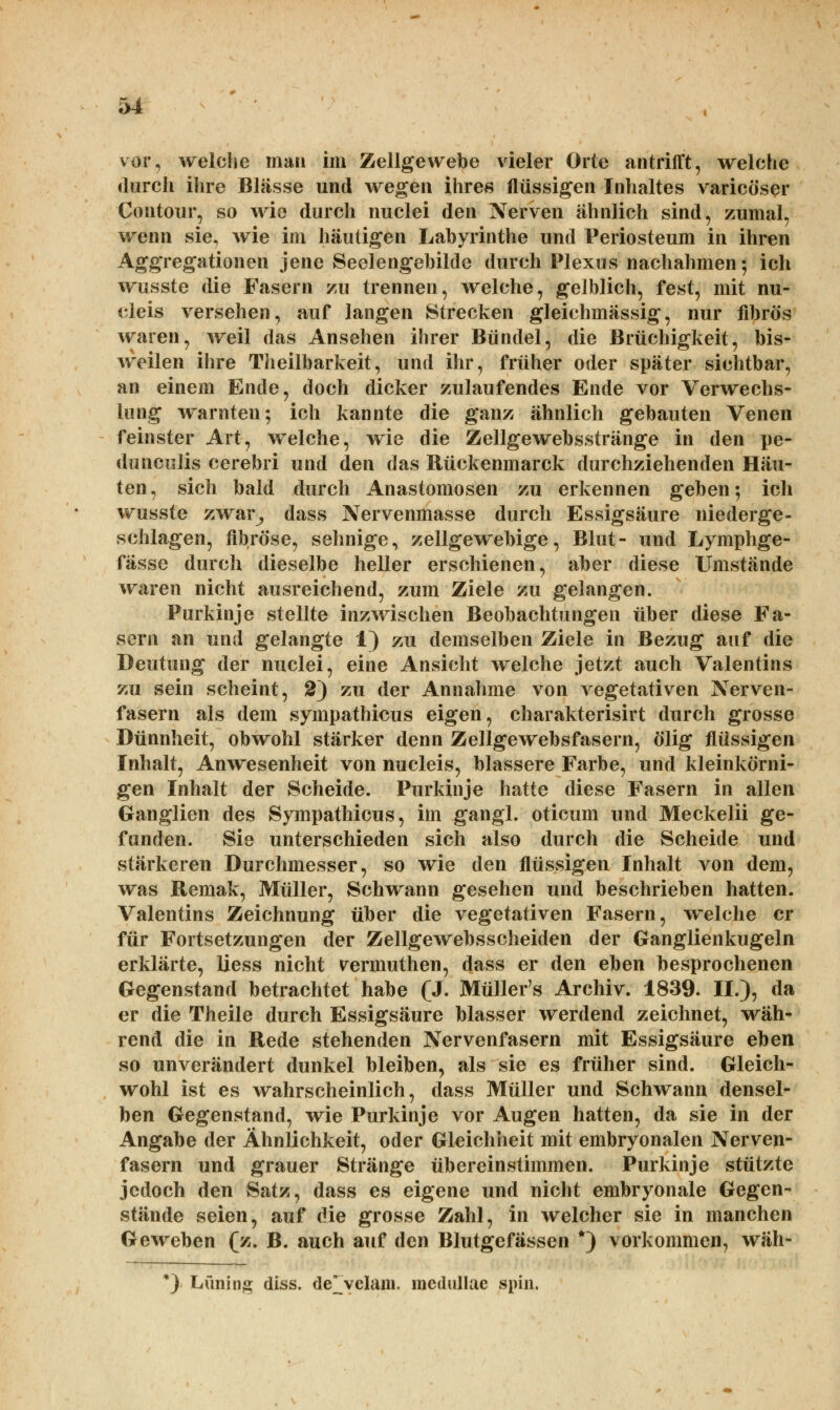 vor, welche man im Zellgewebe vieler Orte antrifft, welche durch ihre Blässe und wegen ihre« flüssigen Inhaltes varicöser Contour, so wie durch nuclei den Nerven ähnlich sind, zumal, wenn sie, wie im häutigen Labyrinthe und Periosteum in ihren Aggregationen jene Seelengebilde durch Plexus nachahmen-, ich wusste die Fasern zu trennen, welche, gelblich, fest, mit nu- cleis versehen, auf langen Strecken gleichmässig, nur fibrös waren, weil das Ansehen ihrer Bündel, die Brüchigkeit, bis- weilen ihre Theilbarkeit, und ihr, früher oder später sichtbar, an einem Ende, doch dicker zulaufendes Ende vor Verwechs- lung warnten; ich kannte die ganz ähnlich gebauten Venen feinster Art, welche, wie die Zellgewebsstränge in den pe- dunculis cerebri und den das Rückenmarck durchziehenden Häu- ten, sich bald durch Anastomosen zu erkennen geben; ich wusste zwar, dass Nervenmasse durch Essigsäure niederge- schlagen, fibröse, sehnige, zellgewebige, Blut- und Lymphge- fässe durch dieselbe heller erschienen, aber diese Umstände waren nicht ausreichend, zum Ziele zu gelangen. Purkinje stellte inzwischen Beobachtungen über diese Fa- sern an und gelangte 1) zu demselben Ziele in Bezug auf die Deutung der nuclei, eine Ansicht welche jetzt auch Valentins zu sein scheint, 2) zu der Annahme von vegetativen Nerven- fasern als dem sympathicus eigen, charakterisirt durch grosse Dünnheit, obwohl stärker denn Zellgewebsfasern, ölig flüssigen Inhalt, Anwesenheit von nucleis, blassere Farbe, und kleinkörni- gen Inhalt der Scheide. Purkinje hatte diese Fasern in allen Ganglien des Sympathicus, im gangl. oticum und Meckelii ge- funden. Sie unterschieden sich also durch die Scheide und stärkeren Durchmesser, so wie den flüssigen Inhalt von dem, was Remak, Müller, Schwann gesehen und beschrieben hatten. Valentins Zeichnung über die vegetativen Fasern, welche er für Fortsetzungen der Zellgewebsscheiden der Ganglienkugeln erklärte, liess nicht vermuthen, dass er den eben besprochenen Gegenstand betrachtet habe (J. Müller's Archiv. 1839. II.), da er die Theile durch Essigsäure blasser werdend zeichnet, wäh- rend die in Rede stehenden Nervenfasern mit Essigsäure eben so unverändert dunkel bleiben, als sie es früher sind. Gleich- wohl ist es wahrscheinlich, dass Müller und Schwann densel- ben Gegenstand, wie Purkinje vor Augen hatten, da sie in der Angabe der Ähnlichkeit, oder Gleichheit mit embryonalen Nerven- fasern und grauer Stränge übereinstimmen. Purkinje stützte jedoch den Satz, dass es eigene und nicht embryonale Gegen- stände seien, auf die grosse Zahl, in welcher sie in manchen Geweben (z. B. auch auf den Blutgefässen *) vorkommen, wäh- *) Lüning diss. dejvelam. mcdullae spin.