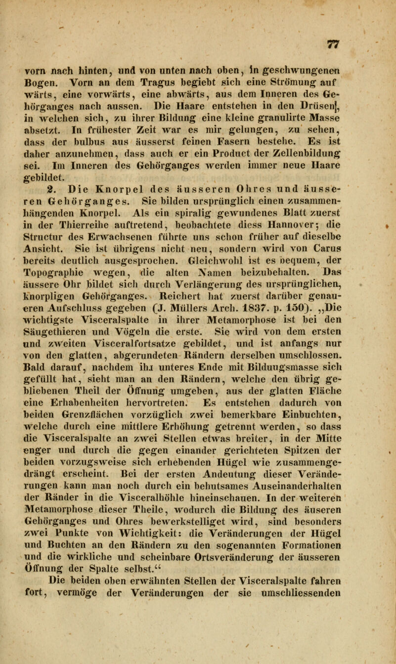 vorn nach hinten, und von unten nach oben, in geschwungenen Bogen. Vorn an dem Tragus begiebt sich eine Strömung auf wärts, eine vorwärts, eine abwärts, aus dem Inneren des Ge- hörganges nach aussen. Die Haare entstehen in den Drüsen], in welchen sich, zu ihrer Bildung eine kleine granulirte Masse absetzt. In frühester Zeit war es mir gelungen, zu sehen, dass der bulbus aus äusserst feinen Fasern bestehe. Es ist daher anzunehmen, dass auch er ein Product der Zellenbildung sei. Im Inneren des Gehörganges werden immer neue Haare gebildet. 2. Die Knorpel des äusseren Ohres und äusse- ren Gehör ganges. Sie bilden ursprünglich einen zusammen- hängenden Knorpel. Als ein spiralig gewundenes Blatt zuerst in der Thierreihe auftretend, beobachtete diess Hannover-, die Structur des Erwachsenen führte uns schon früher auf dieselbe Ansicht. Sie ist übrigens nicht neu, sondern wird von Carus bereits deutlich ausgesprochen. Gleichwohl ist es bequem, der Topographie wegen, die alten Namen beizubehalten. Das äussere Ohr bildet sich durch Verlängerung des ursprünglichen, knorpligen Gehörganges. Reichert hat zuerst darüber genau- eren Aufschluss gegeben (J. Müllers Arch. 1837. p. 150). „Die wichtigste Visceralspalte in ihrer Metamorphose ist bei den Säugethieren und Vögeln die erste. Sie wird von dem ersten und zweiten Visceralfortsatze gebildet, und ist anfangs nur von den glatten, abgerundeten Rändern derselben umschlossen. Bald darauf, nachdem ihi unteres Ende mit Bilduugsmasse sich gefüllt hat, sieht man an den Rändern, welche den übrig ge- bliebenen Theil der Öffnung umgeben, aus der glatten Fläche eine Erhabenheiten hervortreten. Es entstehen dadurch von beiden Grenzflächen vorzüglich zwei bemerkbare Einbuchten, welche durch eine mittlere Erhöhung getrennt werden, so dass die Visceralspalte an zwei Stellen etwas breiter, in der Mitte enger und durch die gegen einander gerichteten Spitzen der beiden vorzugsweise sich erhebenden Hügel wie zusammenge- drängt erscheint. Bei der ersten Andeutung dieser Verände- rungen kann man noch durch ein behutsames Auseinanderhalten der Ränder in die Visceralhöhle hineinschauen. In der weiteren Metamorphose dieser Theile, wodurch die Bildung des äuseren Gehörganges und Ohres bewerkstelliget wird, sind besonders zwei Punkte von Wichtigkeit: die Veränderungen der Hügel und Buchten an den Rändern zu den sogenannten Formationen und die wirkliche und scheinbare Ortsveränderung der äusseren Öffnung der Spalte selbst/4 Die beiden oben erwähnten Stellen der Visceralspalte fahren fort, vermöge der Veränderungen der sie umschliessenden