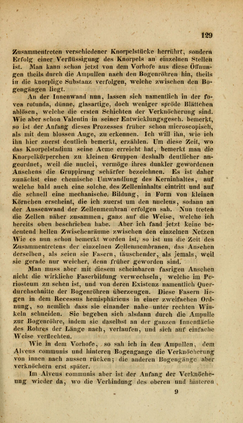 Zusammentreten verschiedener Knorpclstücke herrührt, sondern Erfolg einer Verflüssigung des Knorpels an einzelnen Stellen ist. Man kann schon jetzt von dem Vorhofe aus diese Öffnun- gen theils durch die Ampullen nach den Bogenröhren hin, theils in die knorplige Substanz verfolgen, welche zwischen den Bo- gengängen liegt. An der Innenwand nun, lassen sich namentlich in der fo- vea rotunda, dünne, glasartige, doch weniger spröde Blättchen ablösen, welche die ersten Schichten der Verknöcherung sind. Wie aber schon Valentin in seiner Entwicklungsgesetz bemerkt, so ist der Anfang dieses Prozesses früher schon microscopisch, als mit dein blossen Auge, zu erkennen. Ich will ihn, wie ich ihn hier zuerst deutlich bemerkt, erzählen. Um diese Zeit, wo das Knorpelstadium seine Acme erreicht hat, bemerkt man die Knorpelkörperchen zu kleinen Gruppen deshalb deutlicher an- geordnet, weil die nuelei, vermöge ihres dunkler gewordenen Ansehens die Gruppirung schärfer bezeichnen. Es ist daher zunächst eine chemische Umwandlung des Kerninhaltes, auf welche bald auch eine solche, des Zelleninhalts eintritt und auf die schnell eine mechanische, Bildung, in Form von kleinen Körnchen erscheint, die ich zuerst um den nueleus, sodann an der Aussenwand der Zellenmembran erfolgen sah. Nun treten die Zellen näher zusammen, ganz auf die Weise, welche ich bereits oben beschrieben habe. Aber ich fand jetzt keine be- deutend hellen Zwischenräume zwischen den einzelnen Netzen Wie es nun schon bemerkt worden ist, so ist um die Zeit des Zusammentretens der einzelnen Zellenmembranen, das Ansehen derselben, als seien sie Fasern, täuschender, als jemals, weil sie gerade nur weicher, denn früher geworden sind. Man muss aber mit diesem scheinbaren fasrigen Ansehen nicht die wirkliche Faserbildung verwechseln, welche im Pc- riosteum zu sehen ist, und von deren Existenz namentlich Quer- durchschnitte der Bogenröhren überzeugen. Diese Fasern lie- gen in dem Recessus hemisphäricus in einer zweifachen Ord* nung, so nemlich dass sie einander nahe unter rechten Win- keln schneiden. Sie begeben sich alsdann durch die Ampulle zur Bogenröhre, indem sie daselbst an der ganzen Innenfläche des Rohres der Länge nach, verlaufen, und sich auf einfache Weise verflechten. Wie in dem Vorhofe, so sah ich in den Ampullen, dem Alveus communis und hinteren Bogengänge die Verknöcherung von innen nach aussen rücken 5 die anderen Bogengänge aber verknöchern erst später. Im Alveus communis aber ist der Anfang der Verknöche- ung wieder da, wo die Verbindung des oberen und hinteren 9