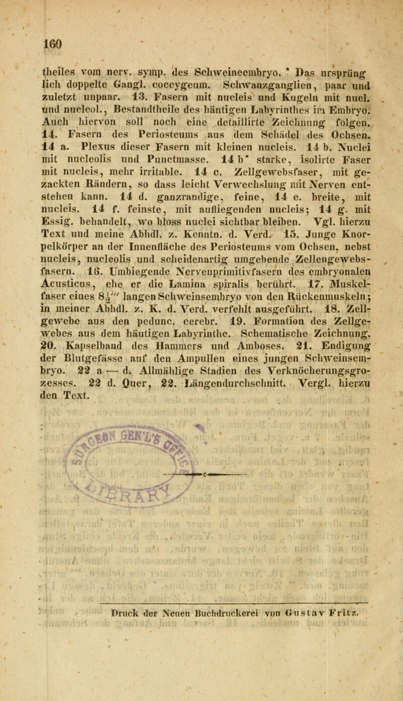 theiles vom nerv. symp. des Schweineembryo. * Das Ursprung lieh doppelte Gangl. coecygeum. Schwanzganglien, paar und zuletzt unpaar. 13. Fasern mit nucleis und Kugeln mit nucL und nucleol., Bestandteile des hantigen Labyrinthes im Embryo. Auch hiervon soll noch eine detaillirte Zeichnung folgen. 14. Fasern des Periosteums aus dem Schädel des Ochsen. 14 a. Plexus dieser Fasern mit kleinen nucleis. 14 b. Nuclei mit nucleolis und Punctmasse. 14 b* starke, isolirte Faser mit nucleis, mehr irritable. 14 c. Zellgewebsfaser, mit ge- zackten Rändern, so dass leicht Verwechslung mit Nerven ent- stehen kann. 14 d. ganzrandige, feine, 14 e. breite, mit nucleis. 14 f. feinste, mit aufliegenden nucleis; 14 g. mit Essig, behandelt, wo bloss nuclei sichtbar bleiben. Vgl. hierzu Text und meine Abhdl. z. Kenntn. d. Verd. 15. Junge Knor- pelkörper an der Innenfläche des Periosteums vom Ochsen, nebst nucleis, nucleolis und scheidenartig umgebende Zellengewebs- fasern. IG. Umbiegende Nervenprimitivfasern des embryonalen Äcusticus, ehe er die Lamina spiralis berührt. 17. Muskel- faser eines 8^; langen Schweinsembryo von den Rückenmuskeln; in meiner Abhdl. z. K. d. Verd. verfehlt ausgeführt. 18. Zell- gewebe aus den pedunc. cerebr. 19. Formation des Zellge- webes aus dem häutigen Labyrinthe. Schematische Zeichnung. 20. Kapselband des Hammers und Amboses. 21. Endigung der Blutgefässe auf den Ampullen eines jungen Schweinsem- bryo. 22 a — d. Allmählige Stadien des Verknöcherungsgro- zesses. 22 d. Quer, 22. Längendurchschnitt. Vergl. hierzu den Text. £p«'^ Druck der Neuen Buchdruckerei von Gustav Fritz.