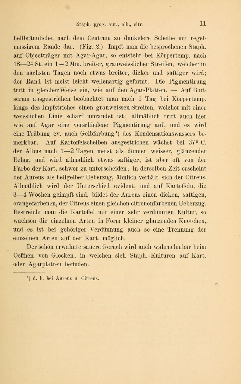 hellbräiinliclie, nach dem Ceutruin zu dunkelere Scheibe mit regel- mässigem Eaude dar. (Fig. 2.) Impft man die besprochenen Staph. auf Objectträger mit Agar-Agar, so entsteht bei Körpertemp. nach 18—24 St. ein 1—2 Mm. breiter, grauweisslicher Streifen, welcher in den nächsten Tagen noch etwas breiter, dicker und saftiger wird; der Eand ist meist leicht wellenartig geformt. Die Pigmentirung tritt in gleicherweise ein, wie auf den Agar-Platten. — Auf Blut- serum ausgestrichen beobachtet man nach 1 Tag bei Körpertemp. längs des Impf striches einen grau weissen Streifen, welcher mit einer weisslichen Linie scharf umrandet ist; allmählich tritt auch hier wäe auf Agar eine verschiedene Pigmentirung auf, und es wii^d eine Trübung ev. auch Gelbfärbung') des Kondensations wassers be- merkbar. Auf Kartoffelscheiben ausgestrichen wächst bei 37o C. der Albus nach 1—2 Tagen meist als dünner weisser, glänzender Belag, und wird allmählich etwas saftiger, ist aber oft von der Farbe der Kart, schwer zu unterscheiden; in derselben Zeit erscheint der Aureus als hellgelber Ueberzug, ähnlich verhält sich der Citreus. Allmählich wird der Unterschied evident, und auf Kartoffeln, die 3—4 Wochen geimpft sind, bildet der Aureus einen dicken, sattigen, orangefarbenen, dei- Citreus einen gleichen citronenfarbenen Ueberzug. Bestreicht man die Kartoffel mit einer sehi' verdünnten Kultur, so wachsen die einzelnen Arten in Form kleiner glänzenden Knötchen, und es ist bei gehöriger Verdünnung auch so eine Trennung der einzelnen Arten auf der Kart, möglich. Der schon erwäluite sauere Geruch wird auch wahrnelunbar beim Oeffnen von Glocken, in welchen sich Staph.-Kulturen auf Kart, oder Agarplatten befinden. ^) d. h. bei Aureus u. Citreus.