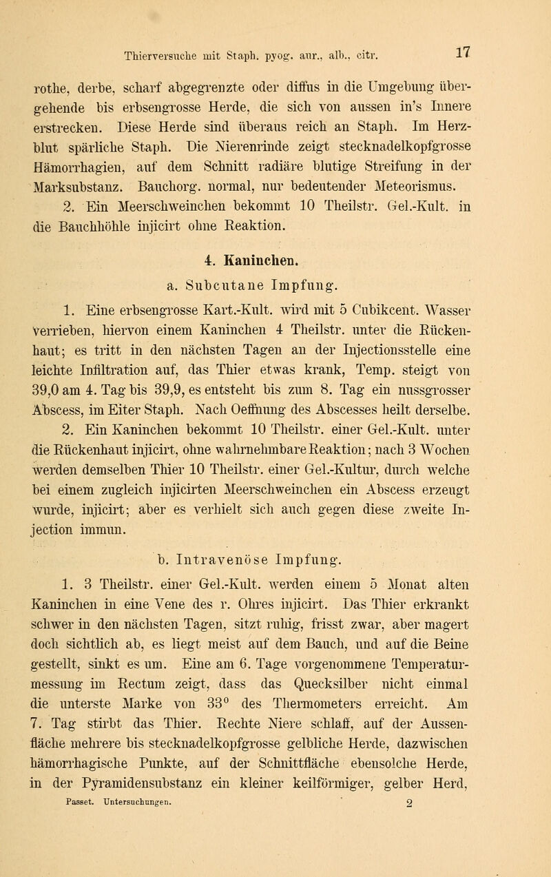 rothe, derbe, scharf abgegrenzte oder diffus in die Umgebung über- geliende bis erbsengrosse Herde, die sich von aussen in's Innere erstrecken. Diese Herde sind überaus reich an Staph. Im Herz- blut spärliche Staph. Die Nierenrinde zeigt stecknadelkopfgrosse Hämorrhagien, auf dem Schnitt radiäre blutige Streifung in der Marksubstanz. Bauchorg. normal, nur bedeutender Meteorismus. 2. Ein Meerschweinchen bekommt 10 Theüstr. Gel.-Kult. in die Bauchhöhle injicirt ohne Reaktion. 4. Kaninchen. a. Subcutane Impfung. 1. Eine erbsengrosse Kart.-Kult. wird mit 5 Cubikcent. Wasser verrieben, hiervon einem Kaninchen 4 Theilstr. unter die Rücken- haut; es tritt in den nächsten Tagen an der Injectionsstelle eine leichte Infiltration auf, das Thier etwas krank, Temp. steigt von 39,0 am 4. Tag bis 39,9, es entsteht bis zum 8. Tag ein nussgrosser Albscess, im Eiter Staph. Nach Oeffiaung des Abscesses heilt derselbe. 2. Ein Kaninchen bekommt 10 Theilstr. einer Gel.-Kult. unter die Rückenhaut injicirt, ohne wahrnehmbare Reaktion; nach 3 Wochen Werden demselben Thier 10 Theilstr. einer Gel.-Kultur, durch welche bei einem zugleich injicirten Meerschweinchen ein Abscess erzeugt wurde, injicirt; aber es verhielt sich auch gegen diese zweite In- jection immun. b. Intravenöse Impfung. 1. 3 Theilstr. einer Gel.-Kult. werden einem 5 Monat alten Kaninchen in eine Vene des r. Ohres injicirt. Das Thier erkrankt schwer in den nächsten Tagen, sitzt ruMg, frisst zwar, aber magert doch sichtlich ab, es liegt meist auf dem Bauch, und auf die Beine gestellt, sinkt es um. Eine am 6. Tage vorgenommene Temperatur- messung im Rectum zeigt, dass das Quecksilber nicht einmal die unterste Marke von 33° des Thermometers erreicht. Am 7. Tag stirbt das Thier. Rechte Niere schlaff, auf der Aussen- fläche mehrere bis stecknadelkopfgrosse gelbliche Herde, dazwischen hämorrhagische Punkte, auf der Schnittfläche ebensolche Herde, in der Pyramidensubstanz ein kleiner keilförmiger, gelber Herd, Passet. Untersnchnngen. ' 2