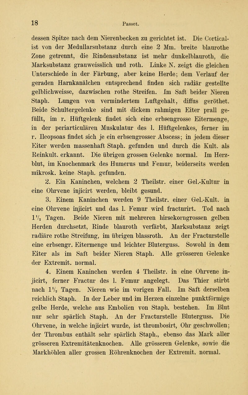 dessen Spitze nach dem Nierenbecken zu gerichtet ist. Die Cortical- ist von der MeduUarsubstanz durch eine 2 Mm. breite blaurothe Zone getrennt, die Eindensubstanz ist mehr dunkelblauroth, die Marksubstanz grauweisslich und roth. Linke N. zeigt die gleichen Unterschiede in der Färbung, aber keine Herde; dem Verlauf der geraden Harnkanälchen entsprechend finden sich radiär gestellte gelblichweisse, dazwischen rothe Streifen. Im Saft beider Nieren Staph. Lungen von vermindertem Luftgehalt, diffus geröthet. Beide Schultergelenke sind mit dickem rahmigen Eiter prall ge- füllt, im r. Hüftgelenk findet sich eine erbsengrosse Eitermenge, in der periarticulären Muskulatur des 1. Hüftgelenkes, ferner im r. Heopsoas findet sich je ein erbsengrosser Abscess; in jedem dieser Eiter werden massenhaft Staph. gefunden und durch die Kult, als Reinkult, erkannt. Die übrigen grossen Gelenke normal. Im Herz- blut, im Knochenmark des Humerus und Femur, beiderseits werden mikrosk. keine Staph. gefunden. 2. Ein Kaninchen, welchem 2 Theilstr. einer Gel.-Kultur in eine Ohrvene injicirt werden, bleibt gesund. 3. Einem Kaninchen werden 9 Theilstr. einer Gel.-Kult. in eine Olirvene injicirt und das 1. Femui' wii'd fracturirt. Tod nach IV2 Tagen. Beide Nieren mit mehreren hii^sekorngrossen gelben Herden durchsetzt, Einde blauroth verförbt, Marksubstanz zeigt radiäre rothe Streifung, im übrigen blassroth. An der FractnrsteUe eine erbsengr. Eitermenge und leichter Bluterguss. Sowohl in dem Eiter als im Saft beider Nieren Staph. Alle grösseren Gelenke der Extremit. normal. 4. Einem Kaninchen werden 4 Theilstr. in eine Ohrvene in- jicirt, ferner Fractur des 1. Femur angelegt. Das Thier stirbt nach IV2 Tagen. Nieren wie im vorigen Fall. Im Saft derselben reichlich Staph. In der Leber und im Herzen einzelne pimktförmige gelbe Herde, welche aus Embolien von Staph. bestehen. Im Blut nur sehr spärlich Staph. An der Fracturstelle Bluterguss. Die Ohrvene, in welche injicirt wurde, ist thrombosirt, Ohi- geschwollen; der Thrombus enthält sehr spärlich Staph., ebenso das Mark aller grösseren Extremitätenknochen. Alle grösseren Gelenke, sowie die Markhöhlen aller grossen Eölirenknochen der Extremit. normal.