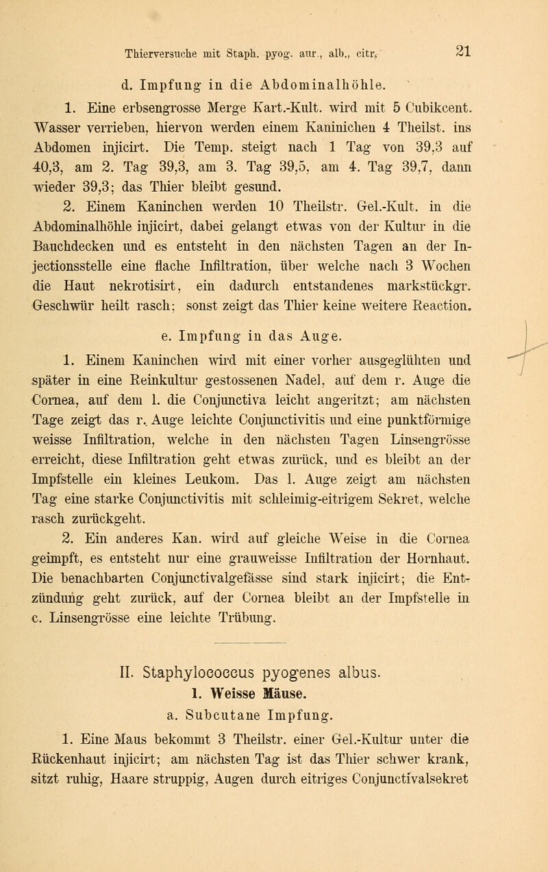 d. Impfung- in die Abdominalhöhle. 1. Eine erbsengrosse Merge Kart.-Kult. wird mit 5 Cubikcent. Wasser verrieben, hiervon werden einem Kaninichen 4 Theilst. ins Abdomen injicii't. Die Temp. steigt nach 1 Tag von 39,3 auf 40,3, am 2. Tag 39,3, am 3. Tag 39,5, am 4. Tag 39,7, dann wieder 39,3; das Thier bleibt gesund. 2. Einem Kaninchen werden 10 Theilstr. Gel .-Kult, in die Abdominalhöhle injicirt, dabei gelangt etwas von der Kultur in die Bauchdecken und es entsteht in den nächsten Tagen an der In- jectionsstelle eine flache Infiltration, über welche nach 3 Wochen die Haut nekrotisirt, ein dadurch entstandenes markstückgr. Geschwür heilt rasch; sonst zeigt das Thier keine weitere Reaction, e. Impfung in das Auge. 1. Einem Kaninchen wird mit einer vorher ausgeglühten und ;später in eine Reinkultur gestossenen Nadel, auf dem r. Auge die •Cornea, auf dem 1. die Conjunctiva leicht angeritzt; am nächsten Tage zeigt das r.. Auge leichte Conjunctivitis und eine punktförmige weisse Infiltration, welche in den nächsten Tagen Linsengrösse erreicht, diese Infiltration geht etwas zurück, und es bleibt an der Impfstelle ein kleines Leukom. Das 1. Auge zeigt am nächsten Tag eine starke Conjunctivitis mit schleimig-eitrigem Sekret, welche rasch zurückgeht. 2. Ein anderes Kan. wird auf gleiche Weise in die Cornea geimpft, es entsteht nur eine grauweisse Infiltration der Hornhaut. Die benachbarten Conjunctivalgefässe sind stark injicirt; die Ent^ Zündung geht zurück, auf der Cornea bleibt an der Impfstelle in. c. Linsengrösse eine leichte Trübung. IL Staphyloeoeeus pyogenes albus. 1. Weisse Mäuse. a. Subcutane Impfung. 1. Eine Maus bekommt 3 Theilstr. einer Gel .-Kultur unter die Rückenhaut injicirt; am nächsten Tag ist das Thier schwer krank, sitzt ruhig, Haare struppig, Augen durch eitriges Conjunctivalsekret