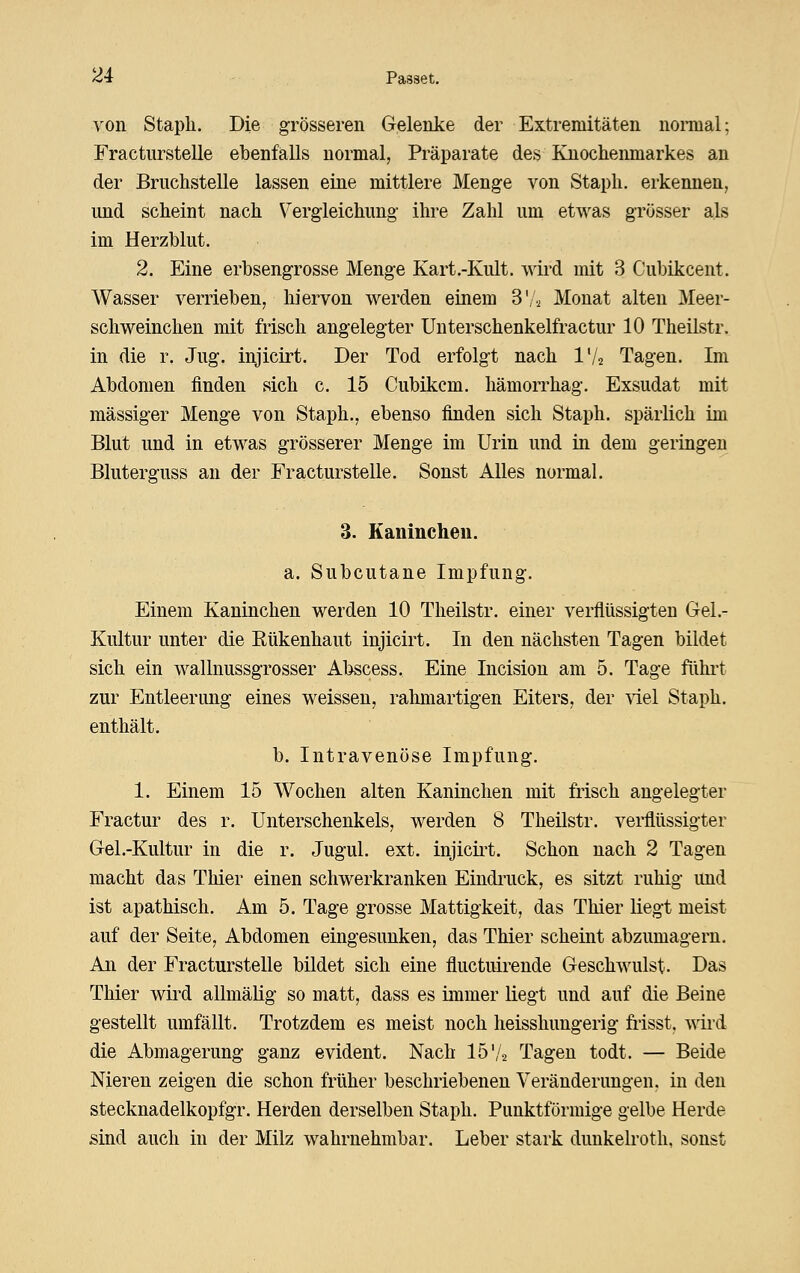 von Stapli. Die grösseren Gelenke der Extremitäten noraial; Fractiirstelle ebenfalls normal, Präparate des Knochenmarkes an der Bruchstelle lassen eine mittlere Menge von Staph. erkennen, und scheint nach Vergleichung ihre Zahl um etwas grösser als im Herzblut. 2. Eine erbsengrosse Menge Kart.-Kult. wird mit 3 Cubikcent. Wasser verrieben, hiervon werden einem 3',, Monat alten Meer- schweinchen mit frisch angelegter Unterschenkelfractur 10 Theilstr. in die r. Jug. injicirt. Der Tod erfolgt nach IV2 Tagen. Im Abdomen finden sich c. 15 Cubikcm. hämorrhag. Exsudat mit massiger Menge von Staph., ebenso finden sich Staph. spärlich im Blut und in etwas grösserer Menge im Urin und in dem geringen Bluterguss an der Fracturstelle. Sonst Alles normal. 3. Kaninchen. a. Subcutane Impfung. Einem Kaninchen werden 10 Theilstr. einer verflüssigten Gel.- Kultur unter die Eükenhaut injicirt. In den nächsten Tagen bildet sich ein wallnussgrosser Abscess. Eine Incision am 5. Tage fühi't zur Entleerung eines weissen, rahmartigen Eiters, der viel Staph. enthält. b. Intravenöse Impfung. 1. Einem 15 Wochen alten Kaninchen mit frisch angelegter Fractur des r. Unterschenkels, werden 8 Theilstr. verflüssigter Gel.-Kultur in die r. Jugul. ext. injicii^t. Schon nach 2 Tagen macht das Thier einen schwerkranken Eindrack, es sitzt ruhig und ist apathisch. Am 5. Tage grosse Mattigkeit, das Thier liegt meist auf der Seite, Abdomen eingesunken, das Thier scheint abzumagern. An der Fracturstelle bildet sich eine fluctuirende Geschwulst. Das Thier wird allmälig so matt, dass es immer liegt und auf die Beine gestellt umfällt. Trotzdem es meist noch heisshungerig frisst, wii'd die Abmagerung ganz evident. Nach 15'/j Tagen todt. — Beide Nieren zeigen die schon früher beschriebenen Veränderungen, in den stecknadelkopfgr. Herden derselben Staph. Punktförmige gelbe Herde sind auch in der Milz wahrnehmbar. Leber stark dunkelroth, sonst