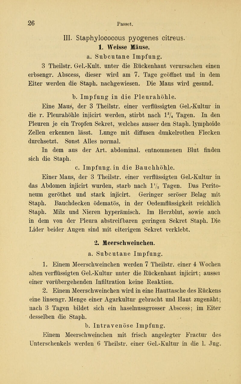 III. Staphyloeoeous pyogenes citreus. 1. Weisse Mäuse. a. Subcutane Impfung. 3 Theilstr. Gel.-Kult. unter die Eückenhaut verursachen einen erbsengr. Abscess, dieser wird am 7. Tage geöffnet und in dem Eiter werden die Staph. nachgewiesen. Die Maus wird gesund. b. Impfung in die Pleurahöhle. Eine Maus, der 3 Theilstr. einer verflüssigten Gel.-Kultui' in die r. Pleurahöhle injicirt werden, stirbt nach 1^4 Tagen. In den Pleuren je ein Tropfen Sekret, welches ausser den Staph. lymphoide Zellen erkennen lässt. Lunge mit diffusen duukelrothen Flecken durchsetzt. Sonst Alles normal. In dem aus der Art. abdominal, entnommeneu Blut finden sich die Staph. c. Impfung, in die Bauchhöhle. Einer Maus, der 3 Theilstr. einer verflüssigten Gel .-Kultur in das Abdomen injicirt wurden, starb nach l'/2 Tagen. Das Perito- neum geröthet und stark injicirt. Geringer seröser Belag mit Staph. Bauchdecken ödematös, in der Oedemflüssigkeit reichlich Staph. Milz und Nieren hyperämisch. Im Herzblut, sowie auch in dem von der Pleura abstreifbaren geringen Sekret Staph. Die Lider beider Augen sind mit eiterigem Sekret verklebt. 2. Meerscliweincheii. a. Subcutane Impfung. 1. Einem Meerschweinchen werden 7 Theilstr. einer 4 Wochen alten verflüssigten Gel .-Kultur unter die Rückenhaut injicirt; aussei einer vorübergehenden Infiltration keine Reaktion. 2. Einem Meerschweinchen wird in eine Hauttasche des Rückens eine linsengr. Menge einer Agarkultur gebracht und Haut zugenäht; nach 3 Tagen bildet sich ein hasehiussgrosser Abscess; im Eiter desselben die Staph. b. Intravenöse Impfung. Einem Meerschweinchen mit frisch angelegter Fractur des Unterschenkels werden 6 Theilstr. einer Gel.-Kultur in die 1. Jug.