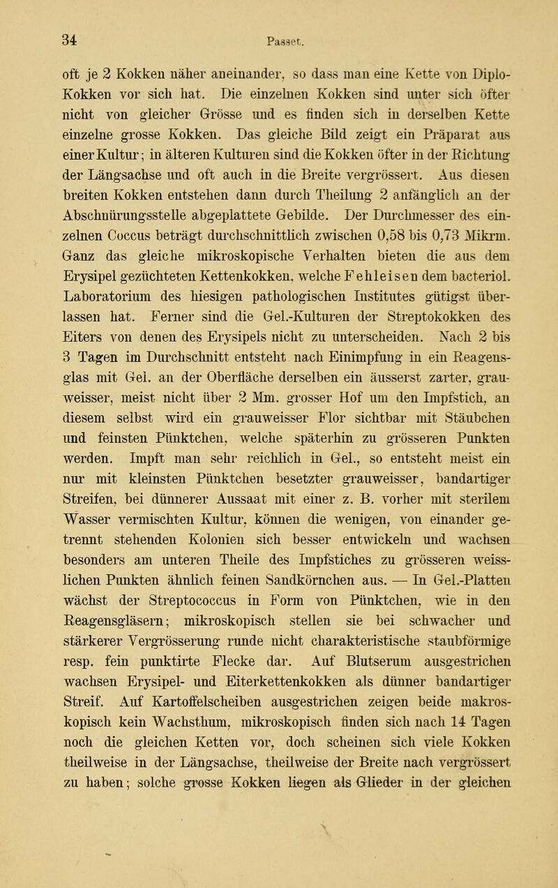 oft je 2 Kokken näher aneinander, so dass man eine Kette von Dipio- Kokken vor sich hat. Die einzelnen Kokken sind unter sich öfter nicht von gleicher GTrösse und es finden sich in derselben Kette einzelne grosse Kokken. Das gleiche Bild zeigt ein Präparat aus einer Kultur; in älteren Kulturen sind die Kokken öfter in der Richtung der Längsachse und oft auch in die Breite vergrössert. Aus diesen breiten Kokken entstehen dann durch Theilung 2 anfänglich an der Abschnürungsstelle abgeplattete Gebilde. Der Durchmesser des ein- zelnen Coccus beträgt durchschnittUch zwischen 0,58 bis 0,73 Mikrm. Granz das gleiche mikroskopische Verhalten bieten die aus dem Erysipel gezüchteten Kettenkokken, Vielehe Fehleisen dem bacteriol. Laboratorium des hiesigen pathologischen Institutes gütigst über- lassen hat. Ferner sind die Gel .-Kulturen der Streptokokken des Eiters von denen des Erysipels nicht zu unterscheiden. Nach 2 bis 3 Tagen im Durchschnitt entsteht nach Einimpfung in ein Reagens- glas mit Gel, an der Oberfläche derselben ein äusserst zarter, grau- weisser, meist nicht über 2 Mm. grosser Hof um den Impf stich, an diesem selbst wird ein grauweisser Flor sichtbar mit Stäubchen und feinsten Pünktchen, welche späterhin zu grösseren Punkten werden. Impft man sehr reichlich in Gel., so entsteht meist ein nur mit kleinsten Pünktchen besetzter grauweisser, bandartiger Streifen, bei dünnerer Aussaat mit einer z, B. vorher mit sterilem Wasser vermischten Kultur, können die wenigen, von einander ge- trennt stehenden Kolonien sich besser entwickeln und wachsen besonders am unteren Theile des Impfstiches zu grösseren weiss- lichen Punkten ähnlich feinen Sandkörnchen aus, — In Gel .-Platten wächst der Streptococcus in Form von Pünktchen, wie in den Reagensgiäsern; mikroskopisch stellen sie bei schwacher und stärkerer Vergrösserung runde nicht charakteristische staubförmige resp, fein punktirte Flecke dar. Auf Blutserum ausgestrichen wachsen Erysipel- und Eiterkettenkokken als dünner bandartiger Streif, Auf Kartoffelscheiben ausgestrichen zeigen beide makros- kopisch kein Wachsthum, mikroskopisch finden sich nach 14 Tagen noch die gleichen Ketten vor, doch scheinen sich viele Kokken theilweise in der Längsachse, theilweise der Breite nach vergrössert zu haben; solche grosse Kokken liegen als Glieder in der gleichen