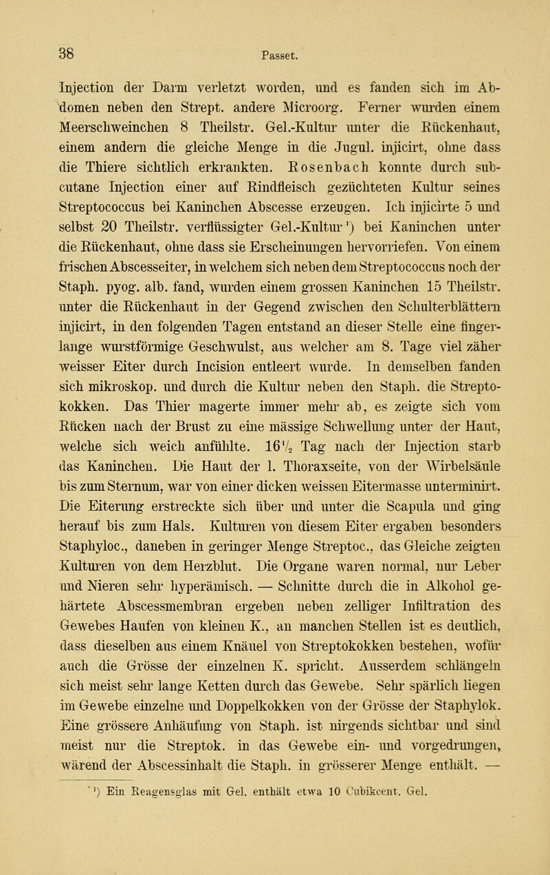 Injection der Darm verletzt worden, und es fanden sich im Ab- \lomfcn neben den Strept. andere Microorg. Ferner wurden einem Meerscliweinclien 8 Theilstr. Gel .-Kultur unter die Eückenliaut, einem andern die gleiche Menge in die Jugul. injicirt, ohne dass die Thiere sichtlich erkrankten. Eosenbach konnte durch sub- cutane Injection einer auf Eindfleisch gezüchteten Kultur seines Streptococcus bei Kaninchen Abscesse erzeugen. Ich injicirte 5 und selbst 20 Theilstr. verflüssigter Gel .-Kultur') bei Kaninchen unter die Eückenhaut, ohne dass sie Erscheinungen hervorriefen. Von einem frischen Abscesseiter, in welchem sich neben dem Streptococcus noch der Staph. pyog. alb. fand, wurden einem grossen Kaninchen 15 Theilstr. unter die Eückenhaut in der Gegend zwischen den Schulterblättern injicirt, in den folgenden Tagen entstand an dieser SteUe eine finger- lange wurstförmige Geschwulst, aus welcher am 8. Tage viel zäher weisser Eiter durch Incision entleert wurde. In demselben fanden sich mikroskop. und durch die Kultur neben den Staph. die Strepto- kokken. Das Thier magerte immer mehi' ab, es zeigte sich vom Eücken nach der Brust zu eine massige Schwellung unter der Haut, welche sich weich anfühlte. 16 Va Tag nach der Injection starb das Kaninchen. Die Haut der 1. Thoraxseite, von der Wirbelsäule bis zum Sternum, war von einer dicken weissen Eitermasse unterminii't. Die Eiterung erstreckte sich über und unter die Scapula und ging Iierauf bis zum Hals. Kulturen von diesem Eiter ergaben besonders Staphyloc, daneben in geringer Menge Streptoc, das Gleiche zeigten Kultui'en von dem Heizblut. Die Organe waren normal, nur Leber und Nieren sehr hyperämisch. — Schnitte durch die in Alkohol ge- härtete Abscessmembran ergeben neben zelliger Infiltration des Gewebes Haufen von kleinen K., an manchen Stellen ist es deutlich, dass dieselben aus einem Knäuel von Streptokokken bestehen, wofür auch die Grösse der einzelnen K. spricht. Ausserdem schlängeln sich meist sehr lange Ketten durch das Gewebe. Sehr- spärlich liegen im Gewebe einzelne imd Doppelkokken von der Grösse der Staphylok. Eine grössere Anhäufimg von Staph. ist nirgends sichtbar und sind meist nur die Streptok. in das Gewebe ein- und vorgedi^ungen, wärend der Abscessinhalt die Staph. in grösserer Menge enthält. — ■') Ein Reagensglas mit Gel. enthält etwa 10 Cubikcent. Gel.