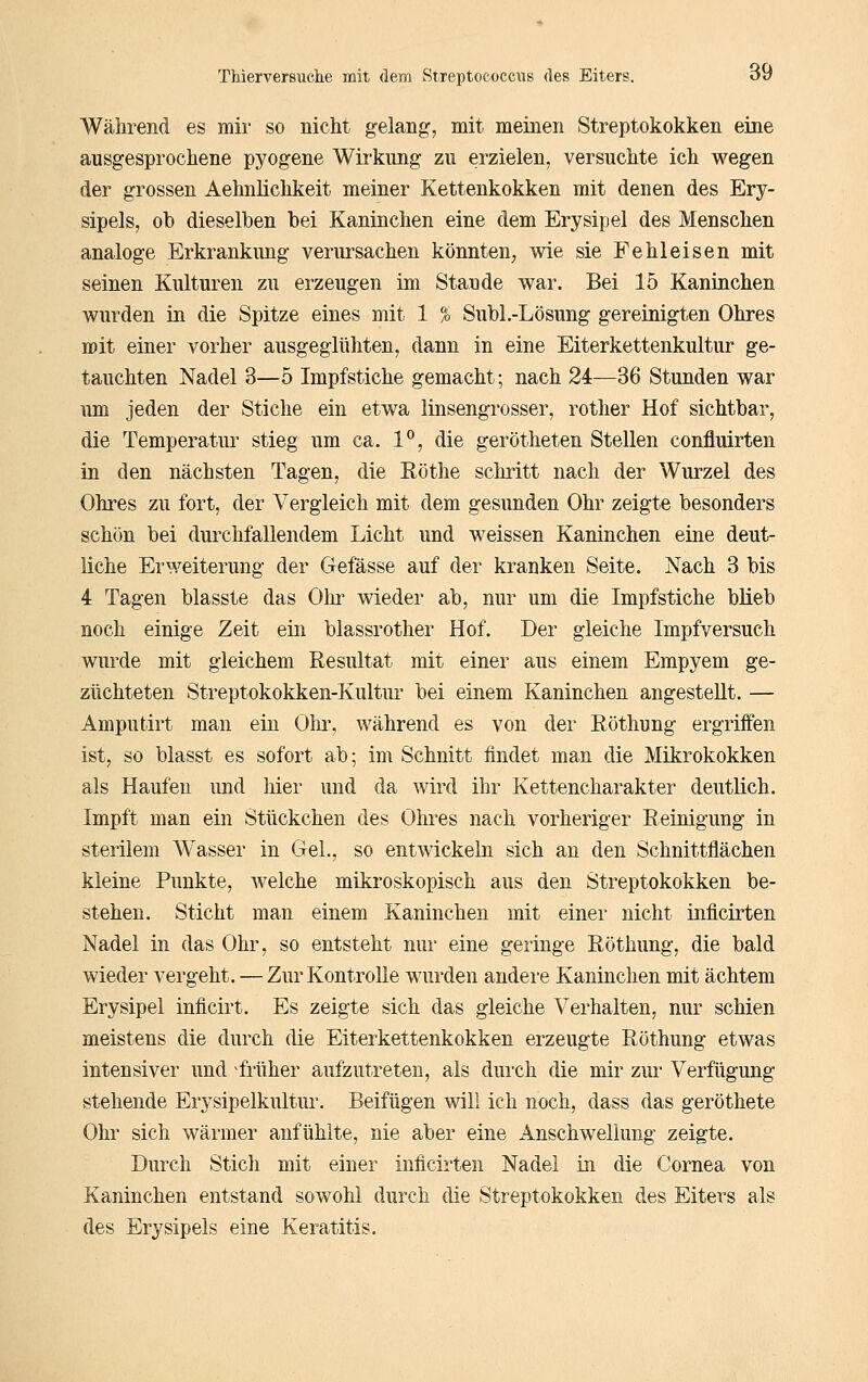 Während es mir so nicht g:elang, mit meinen Streptokokken eine ausgesprochene pyogene Wirkung zu erzielen, versuchte ich wegen der grossen Aehnlichkeit meiner Kettenkokken mit denen des Ery- sipels, ob dieselben bei Kaninchen eine dem Erysipel des Menschen analoge Erkrankung verursachen könnten, wie sie Fehleisen mit seinen Kulturen zu erzeugen im Stande war. Bei 15 Kaninchen wurden in die Spitze eines mit 1 % Subl.-Lösung gereinigten Ohres mit einer vorher ausgeglühten, dann in eine Eiterkettenkultur ge- tauchten Nadel 3—5 Impfstiche gemacht; nach 24—36 Stunden war um jeden der Stiche ein etwa linsengrosser, rother Hof sichtbar, die Temperatur stieg um ca. 1^, die gerötheten Stellen confluirten in den nächsten Tagen, die Eöthe schritt nach der Wurzel des Ohres zu fort, der Vergleich mit dem gesunden Ohr zeigte besonders schön bei durchfallendem Licht und weissen Kaninchen eine deut- liche Erweiterung der Gefässe auf der kranken Seite. Nach 3 bis 4 Tagen blasste das Ohr wieder ab, nur um die Impfstiche blieb noch einige Zeit ein blassrother Hof. Der gleiche Impfversuch wurde mit gleichem Resultat mit einer aus einem Empyem ge- züchteten Streptokokken-Kultur bei einem Kaninchen angestellt. — Amputirt man ein Olir, während es von der Röthung ergriffen ist, so blasst es sofort ab; im Schnitt findet man die Mikrokokken als Haufen und hier und da wird ihr Kettencharakter deutlich. Impft man ein Stückchen des Ohres nach vorheriger Reinigung in sterilem Wasser in Gel., so entwickeln sich an den Schnittflächen kleine Punkte, welche mikroskopisch aus den Streptokokken be- stehen. Sticht man einem Kaninchen mit einer nicht inficirten Nadel in das Ohr, so entsteht nur eine geringe Röthung, die bald wieder vergeht. — Zur Kontrolle wurden andei'e Kaninchen mit achtem Erysipel inflcirt. Es zeigte sich das gleiche Verhalten, nur schien meistens die durch die Eiterkettenkokken erzeugte Röthung etwas intensiver und ^früher aufzutreten, als durch die mir zur Verfügung stehende Erysipelkultur. Beifügen will ich noch, dass das geröthete Ohr sich wärmer anfühlte, nie aber eine Anschwellung zeigte. Durch Stich mit einer inficirten Nadel in die Cornea von Kaninchen entstand sowohl durch die Streptokokken des Eiters als des Erysipels eine Keratitis.