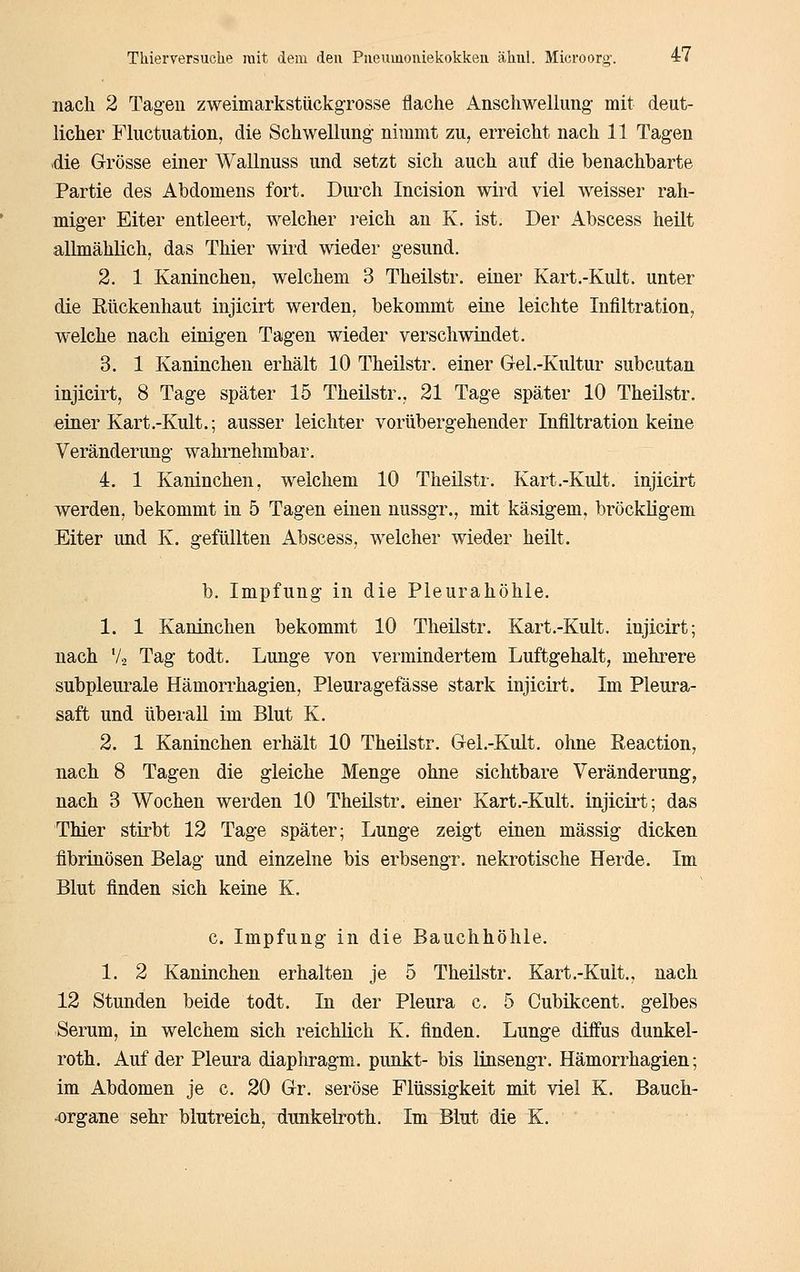 nach 2 Tagen zweimarkstückgrosse flache Anschwellung- mit deut- licher Fluctuation, die Schwellung nimmt zu, erreicht nach 11 Tagen die Grösse einer Wallnuss und setzt sich auch auf die benachbarte Partie des Abdomens fort. Duixh Incision wird viel weisser rah- miger Eiter entleert, welcher i-eich an K. ist. Der Abscess heilt allmählich, das Thier wird wieder gesund. 2. 1 Kaninchen, welchem 3 Theilstr. einer Kart .-Kult, unter die Rückenhaut injicirt werden, bekommt etue leichte Infiltration, welche nach einigen Tagen wieder verschwiudet. 3. 1 Kaninchen erhält 10 Theilstr. einer Grel.-Kultur subcutan injicirt, 8 Tage später 15 Theüstr., 21 Tage später 10 Theilstr. einer Kart .-Kult.; ausser leichter vorübergehender Infiltration keine Veränderung wahrnehmbar. 4. 1 Kaninchen, welchem 10 Theüstr. Kart.-Kult. injicirt werden, bekommt in 5 Tagen einen nussgr., mit käsigem, bröckligem Eiter und K. gefüllten Abscess, welcher wieder heilt. b. Impfung in die Pleurahöhle. 1. 1 Kaninchen bekommt 10 Theilstr. Kart.-Kult. injicirt; nach Va Tag todt. Lunge von vermindertem Luftgehalt, mehrere subpleurale Hämorrhagien, Pleuragefässe stark injicirt. Im Pleura- saft und übeiall im Blut K. 2. 1 Kaninchen erhält 10 Theilstr. Grel.-Kult. ohne Reaction, nach 8 Tagen die gleiche Menge ohne sichtbare Veränderung, nach 3 Wochen werden 10 Theilstr. einer Kart.-Kult. injicirt; das Thier stirbt 12 Tage später; Lunge zeigt einen massig dicken fibrinösen Belag und einzelne bis erbsengr. nekrotische Herde. Im Blut finden sich keine K. c. Impfung in die Bauchhöhle. 1. 2 Kaninchen erhalten je 5 Theilstr. Kart.-Kult., nach 12 Stunden beide todt. In der Pleura c. 5 Cubikcent, gelbes Serum, in welchem sich reichlich K. finden. Lunge diffus dunkel- roth. Auf der Pleura diaphragm. punkt- bis linsengr. Hämorrhagien; im Abdomen je c. 20 Gr. seröse Flüssigkeit mit viel K. Bauch- .organe sehr blutreich, dnnkelroth. Im Blut die K.