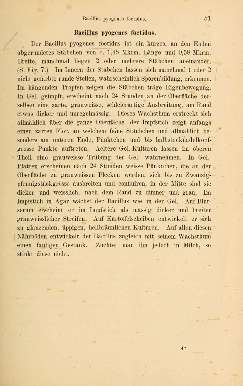 / Bacillus pyogenes foetidus. Der Bacillus pyogenes foetidus ist ein kurzes, an den Enden abgerundetes Stäbchen von c. 1,45 Mkrm. Länge und 0,58 Mkrm, Breite, manchmal liegen 2 oder mehrere Stäbchen aneinander. (S. Fig. 7.) Im Innern der Stäbchen lassen sich manchmal 1 oder 2 nicht gefärbte runde Stellen, wahrscheinlich Sporenbildung, erkennen. Im hängenden Tropfen zeigen die Stäbchen träge Eigenbewegung. In Gel. geimpft, erscheint nach 24- Stunden an der Oberfläche der- selben eine zarte, grauweisse, schleierartige Ausbreitung, am Band etwas dicker und unregelmässig. Dieses Wachsthum erstreckt sich allmählich über die ganze Oberfläche; der Impfstich zeigt anfangs einen zarten Flor, an welchem feine Stäubchen und allmählich be- sonders am unteren Ende, Pünktchen und bis halbstecknadelkopf- grosse Punkte auftreten. Aeltere Gel .-Kulturen lassen im oberen Theil eine grauweisse Trübung der Gel. wahrnehmen. In Gel.- Platten erscheinen nach 24 Stunden weisse Pünktchen, die an der Oberfläche zu grauweissen Plecken werden, sich bis zu Zwanzig- pfennigstückgrösse ausbreiten und confluiren, in der Mitte sind sie dicker und weisslich, nach dem Band zu dünner und grau. Im Impf stich in Agar wächst der Bacillus wie in der Gel. Auf Blut- serum erscheint er im Impfstich als massig dicker und breiter grauweisslicher Streifen. Auf Kartoffelscheiben entwickelt er sich zu glänzenden, üppigen, hellbräunlichen Kulturen. Auf allen diesen Nährböden entwickelt der Bacillus zugleich mit seinem Wachsthum einen fauKgen Gestank. Züchtet man ihn jedoch in Milch, so stinkt diese nicht.